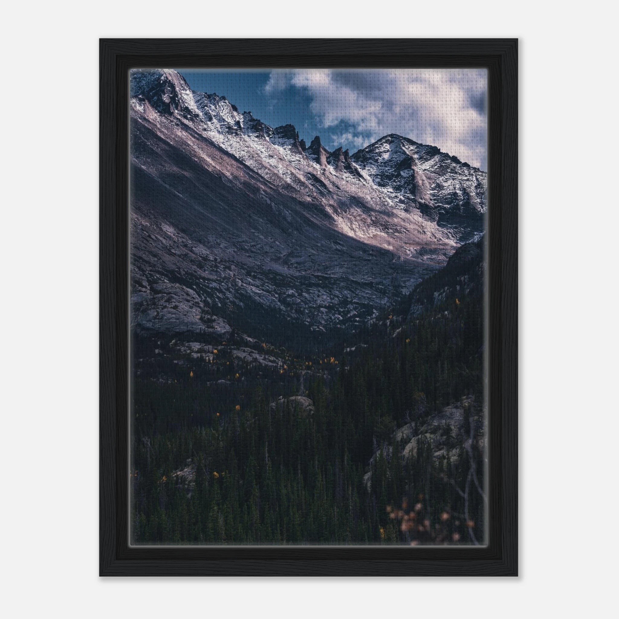 99df6673-61d4-4d84-82a9-3733551d5eb9