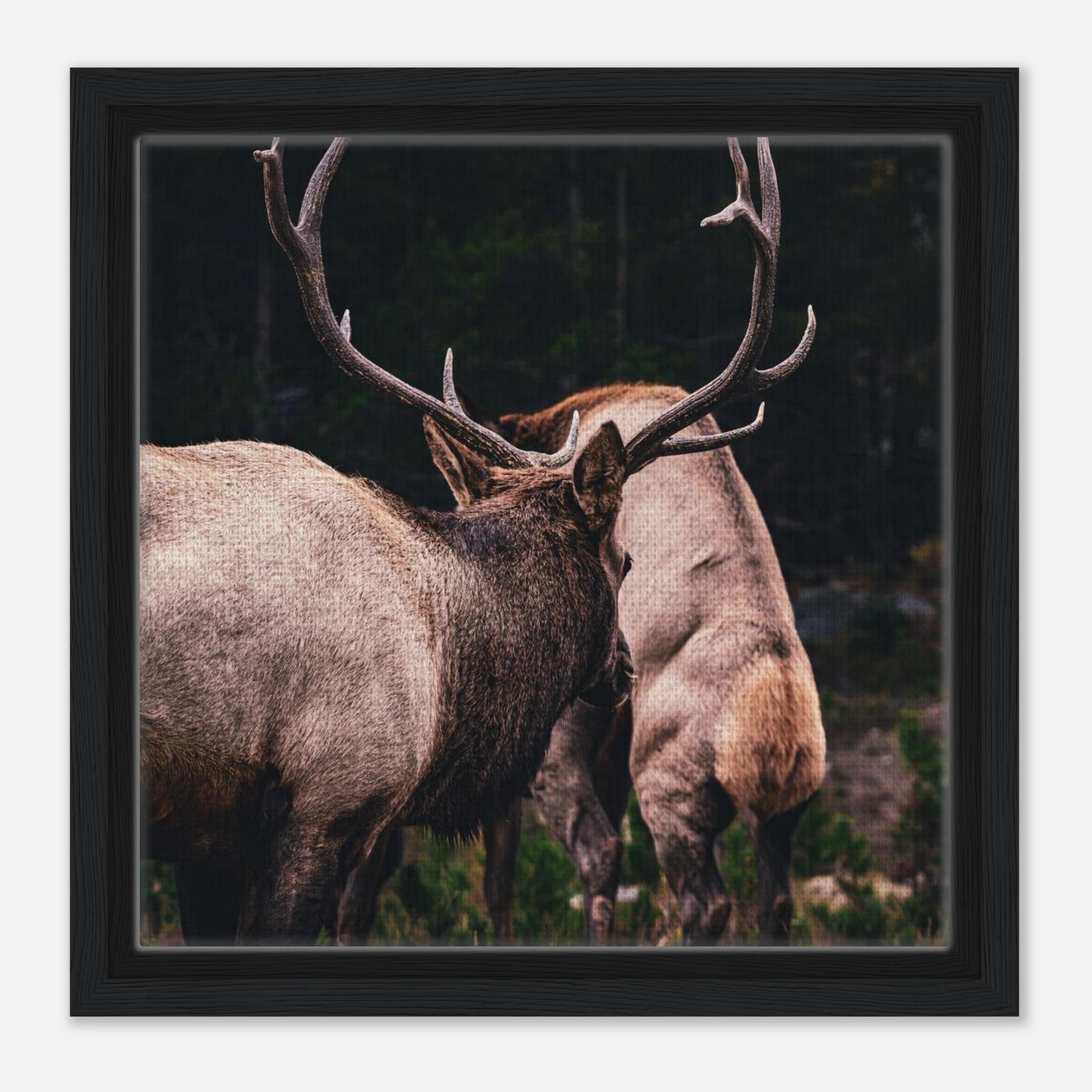 9ae93fca-fdb3-4700-9d0e-c2f4125d0059