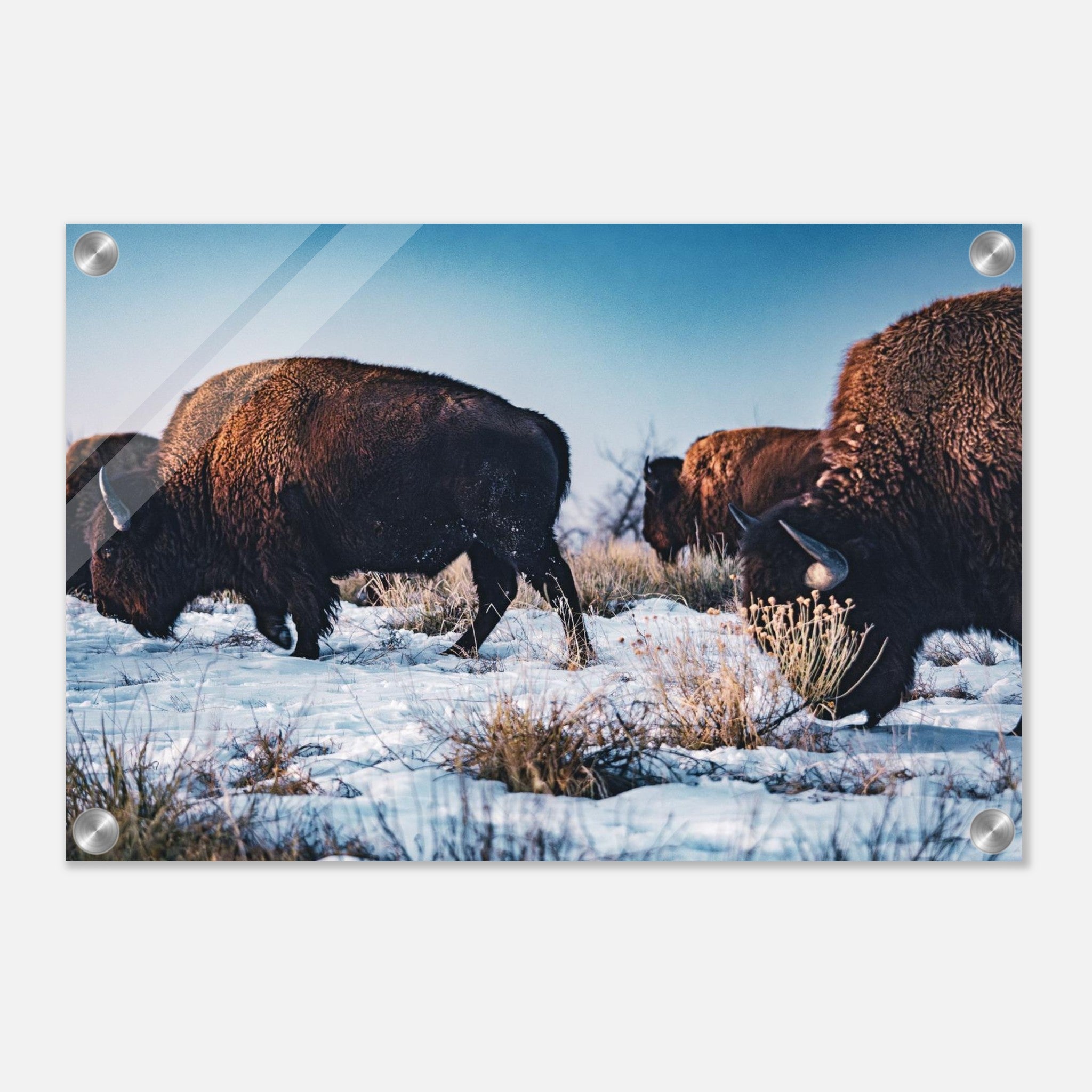 9c69660a-8155-4b74-b27d-3cd2341853db