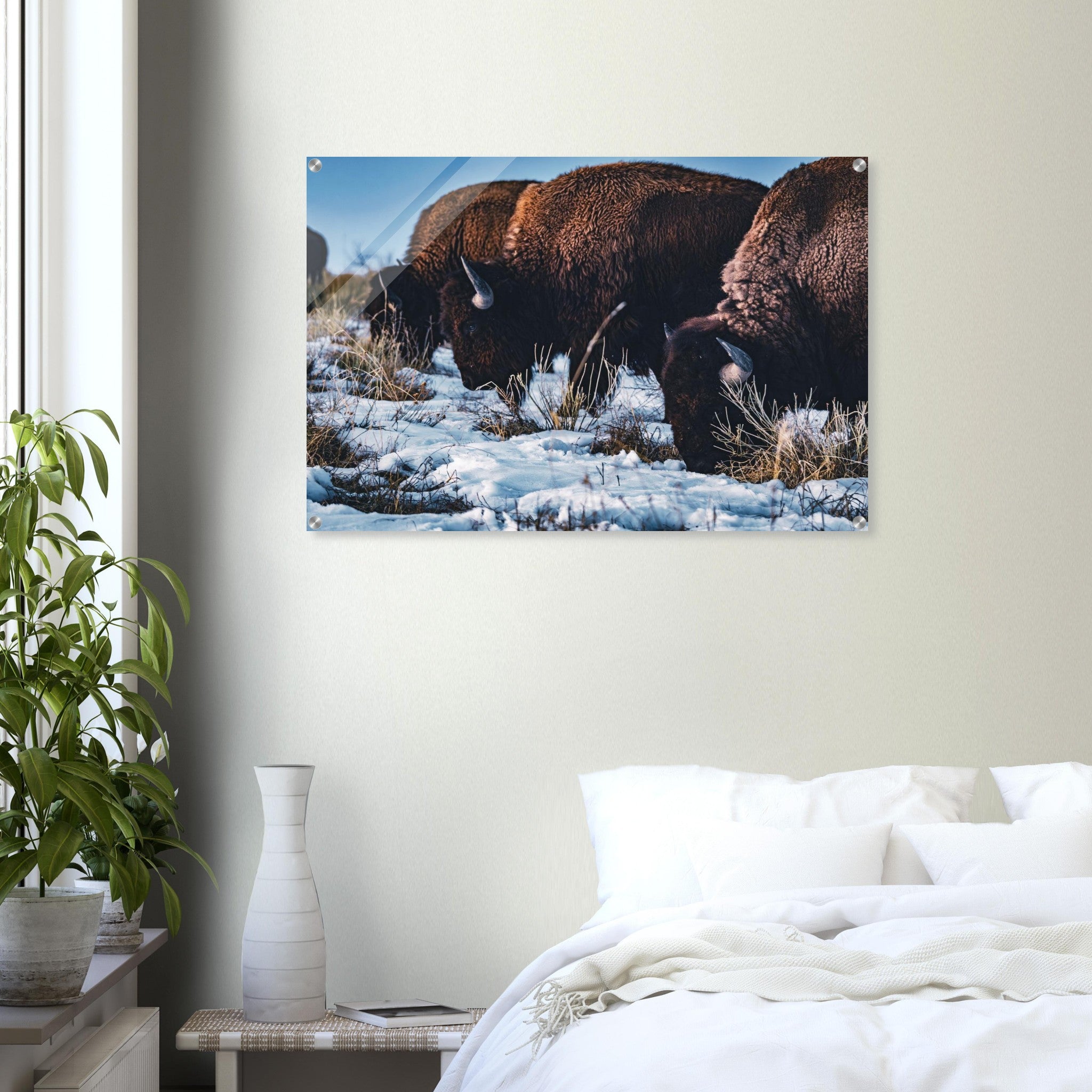 9e25c94a-af2a-4eee-b044-6e8616361a83