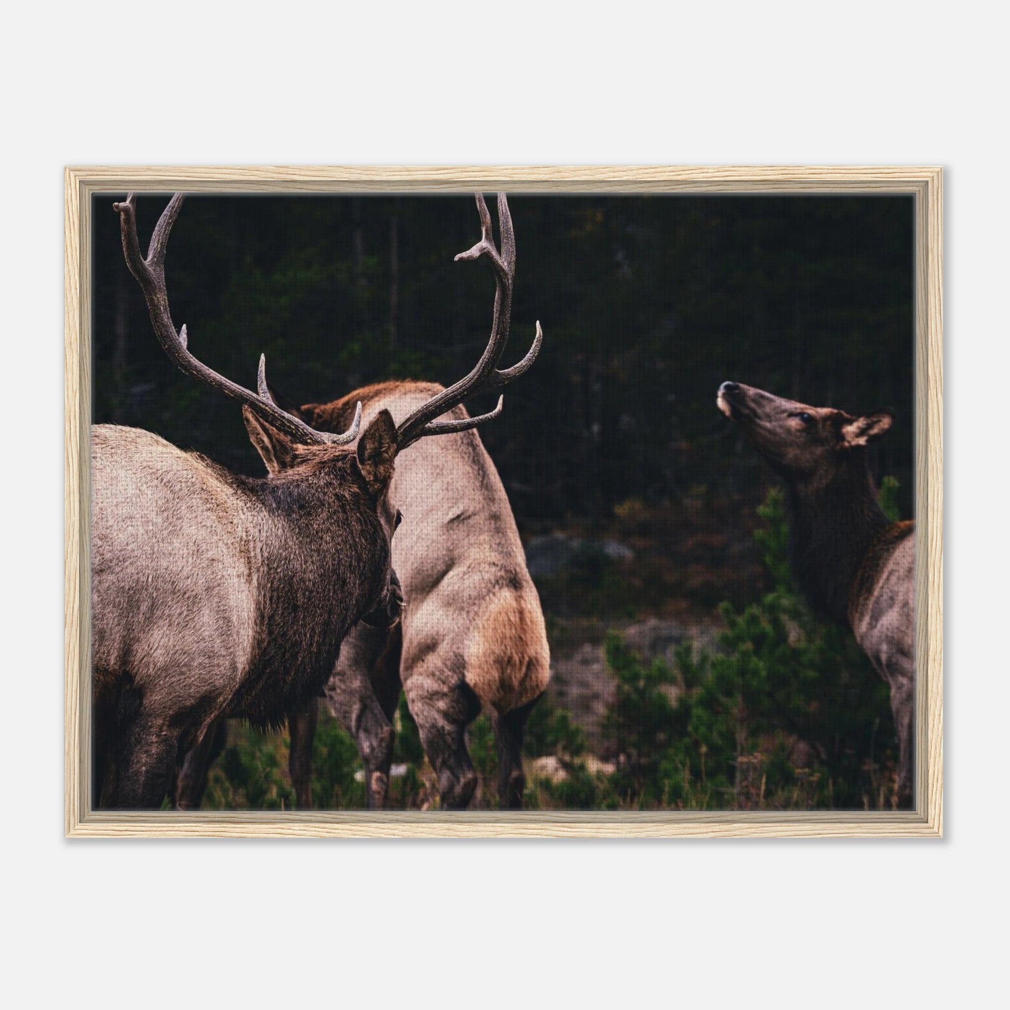 9f25ed5e-18b9-451c-bb54-58496cea6c76