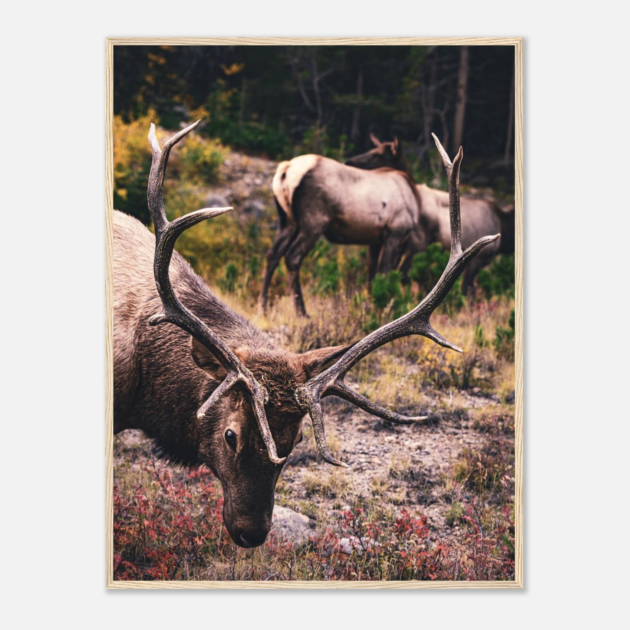 a0b8339b-00d9-4a68-9816-285529cbe232