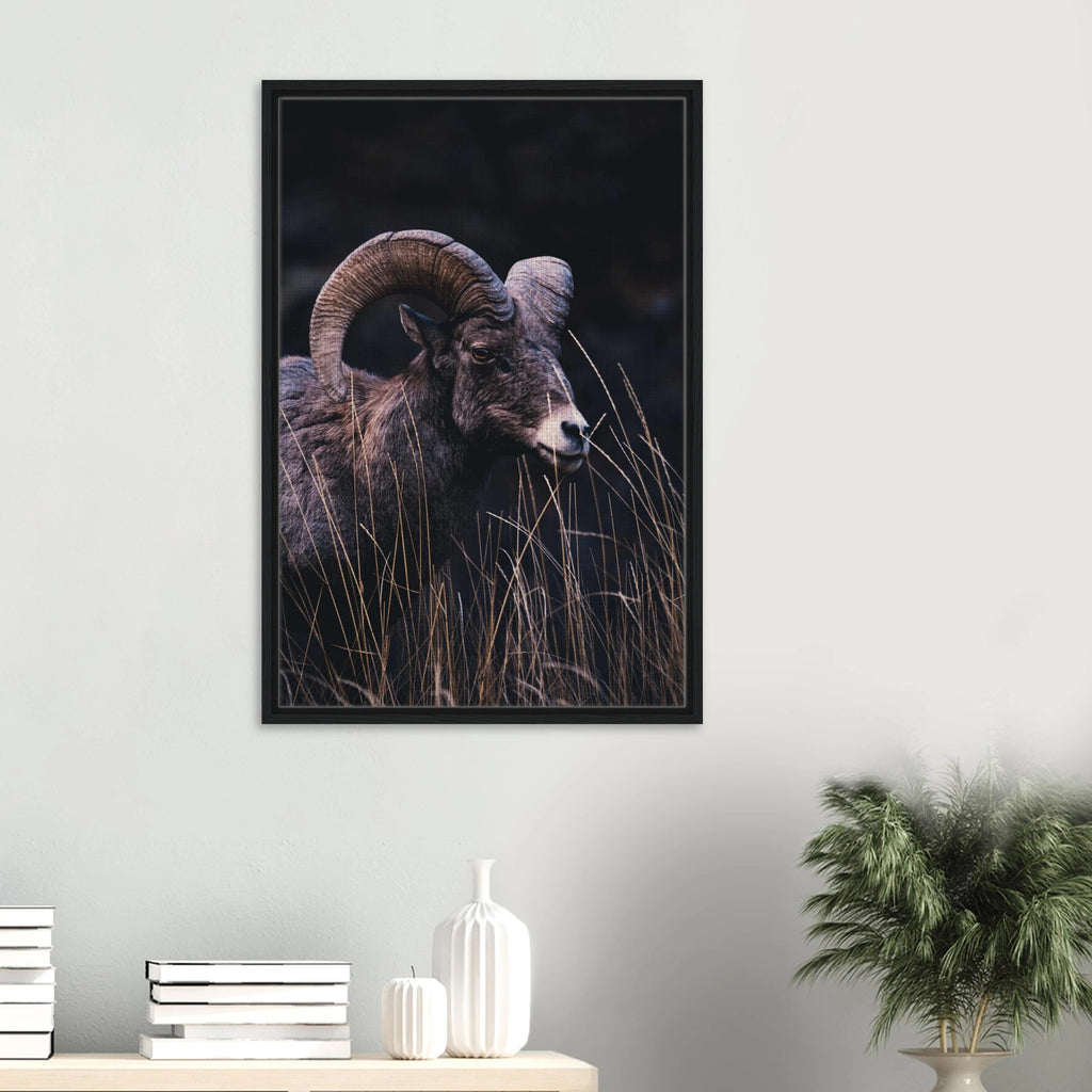 a0ea42c3-c3eb-474c-9197-e900b9818205