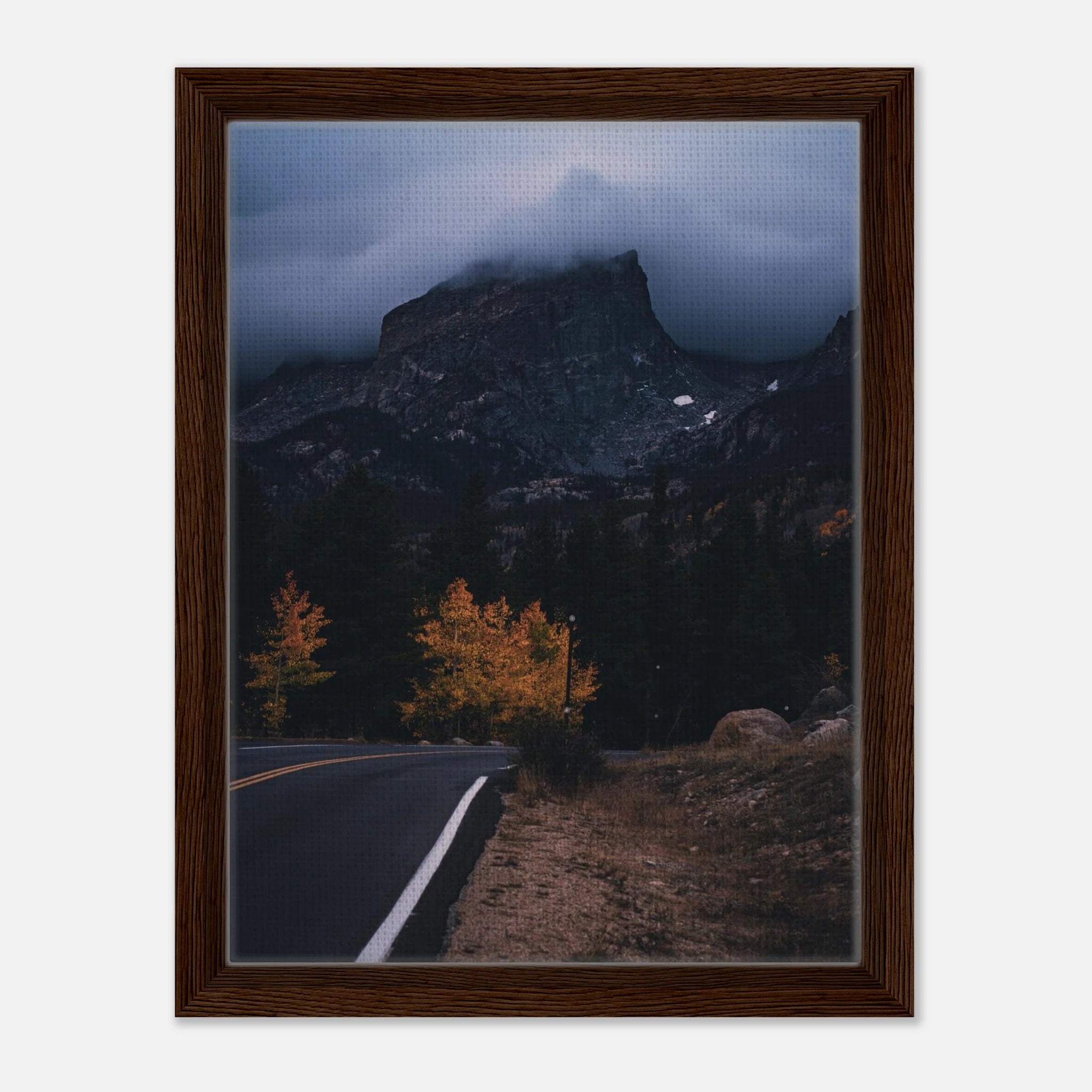 a1502b50-ed63-441f-b3ce-b668b377f355