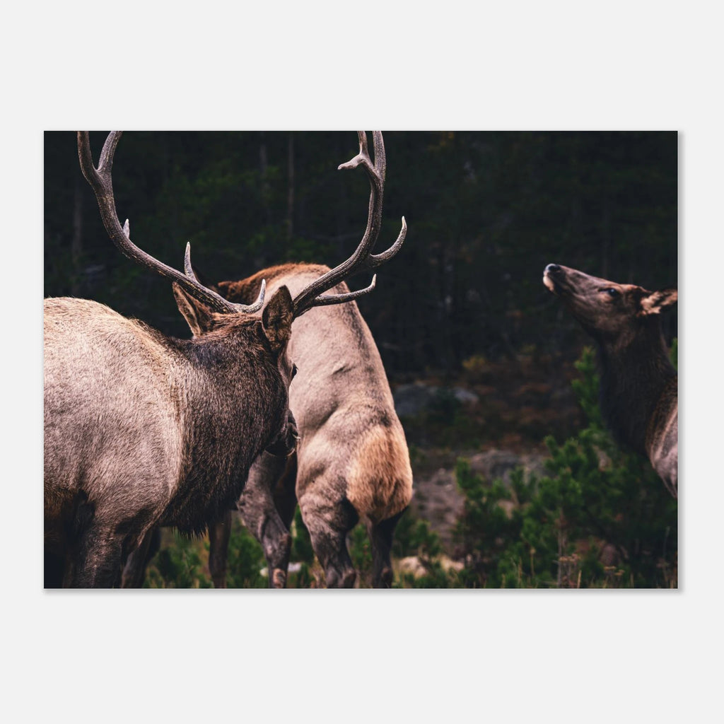 a34abeb3-a4dc-48f6-8057-567f8b98bbdd