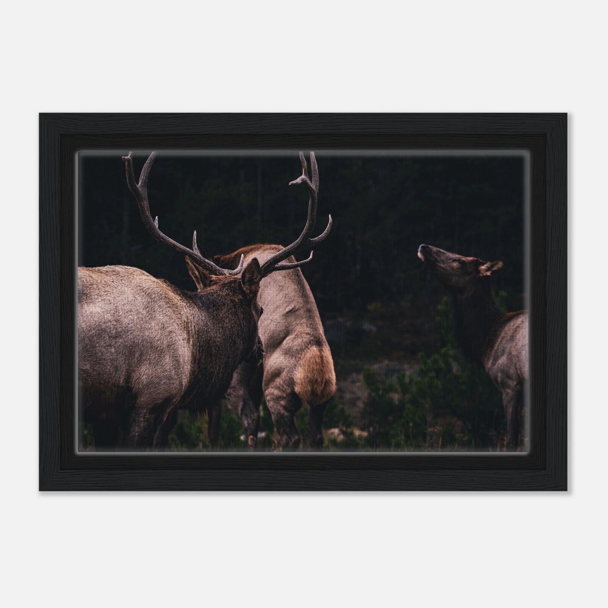 a3b0e8ed-1679-49ea-a6a6-f1dc521b60fa