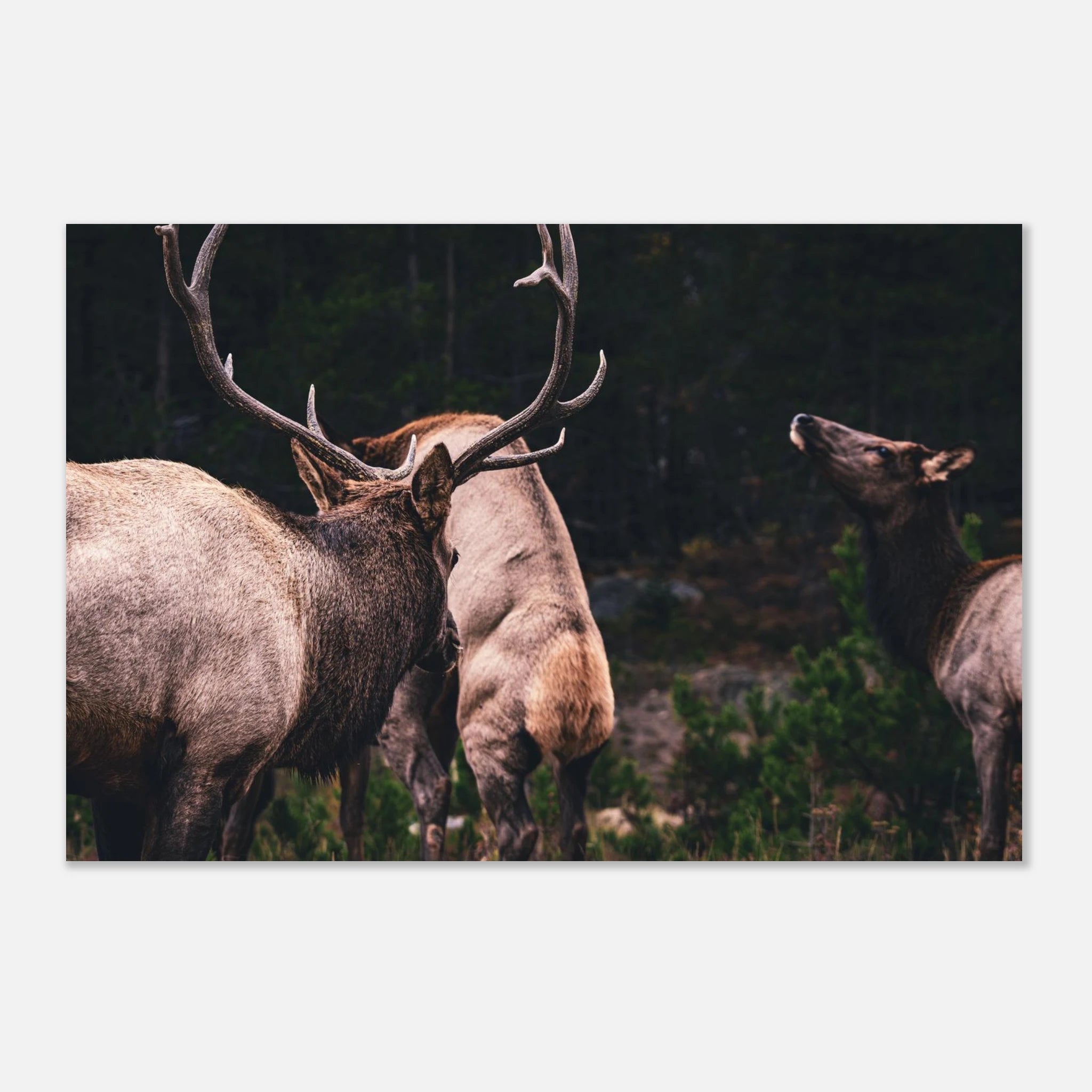 a47b3854-89ce-410e-bc1c-d4fd6e3cae9a