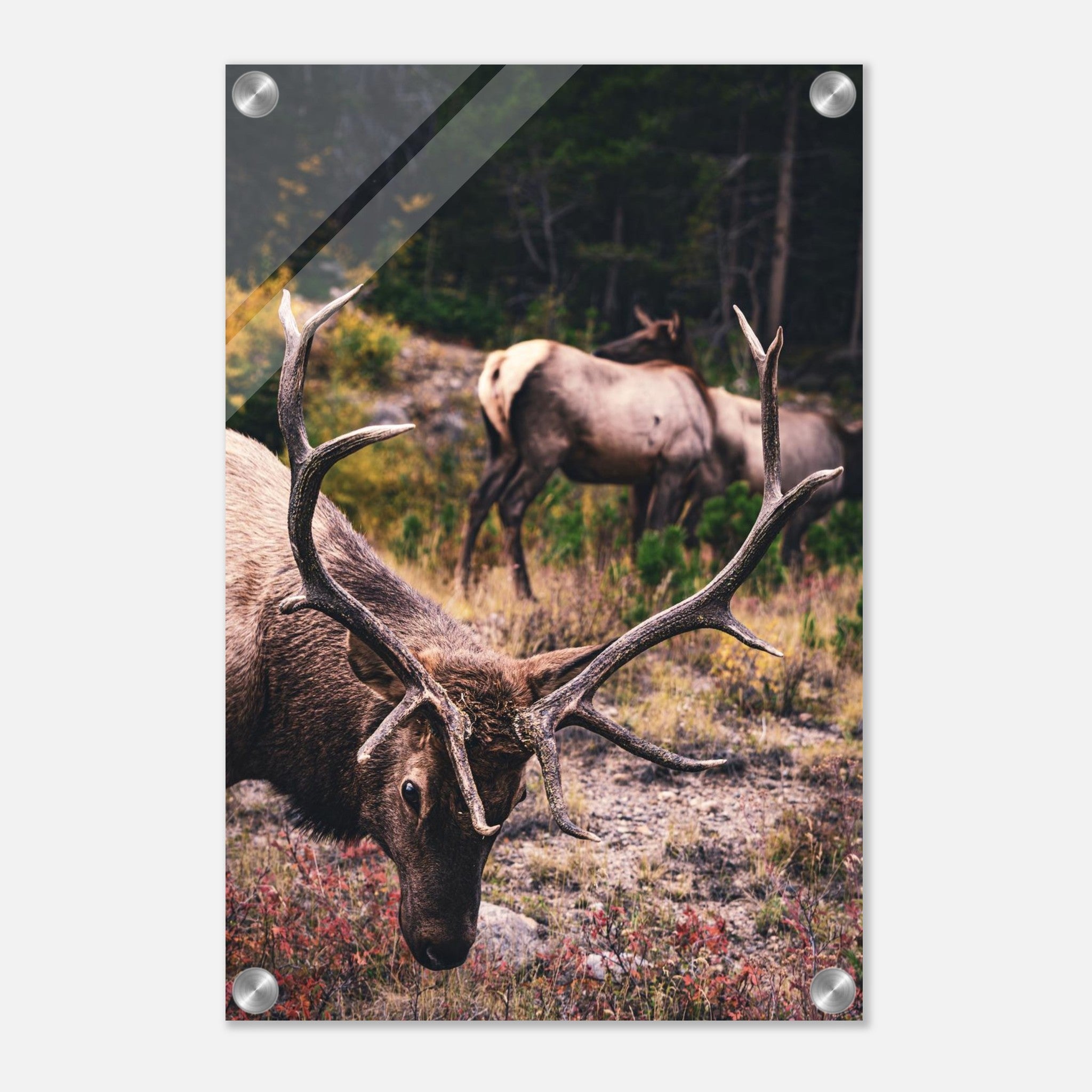 a4ae7841-cc04-421e-b7e1-8b77494199fc