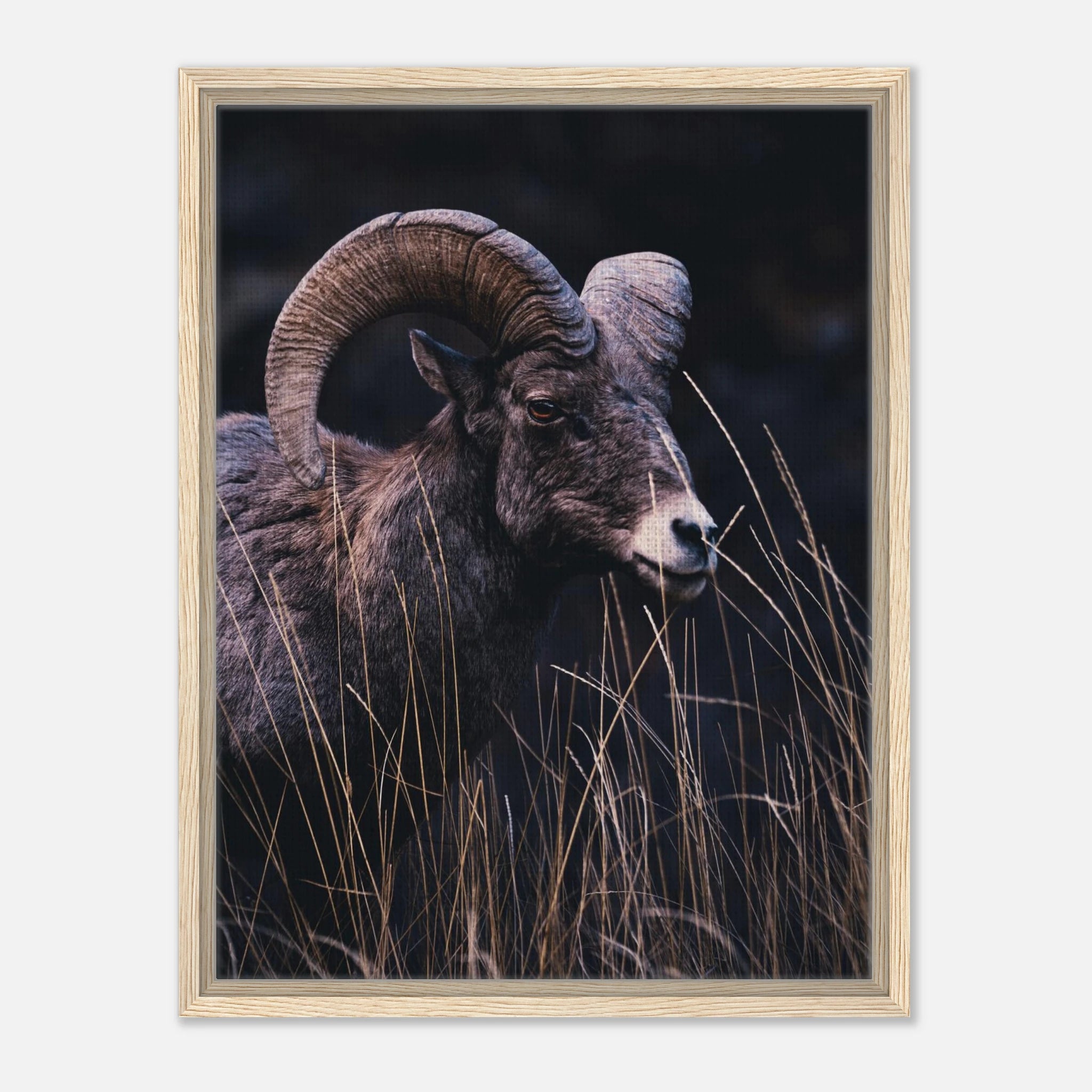 a5ed6f49-ecaa-4867-b093-25a361efaf45