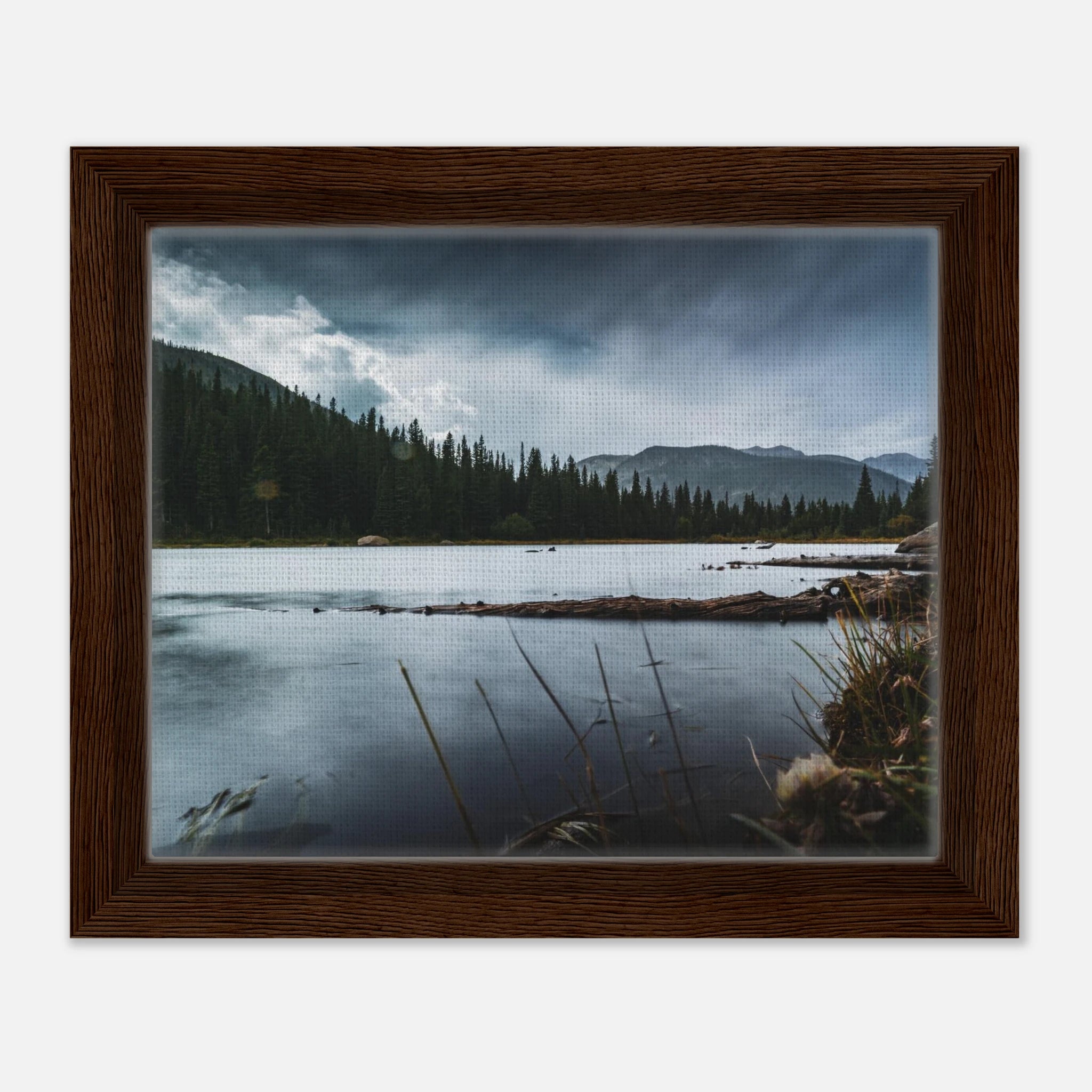 a68e2529-383b-4081-a943-576c24398437