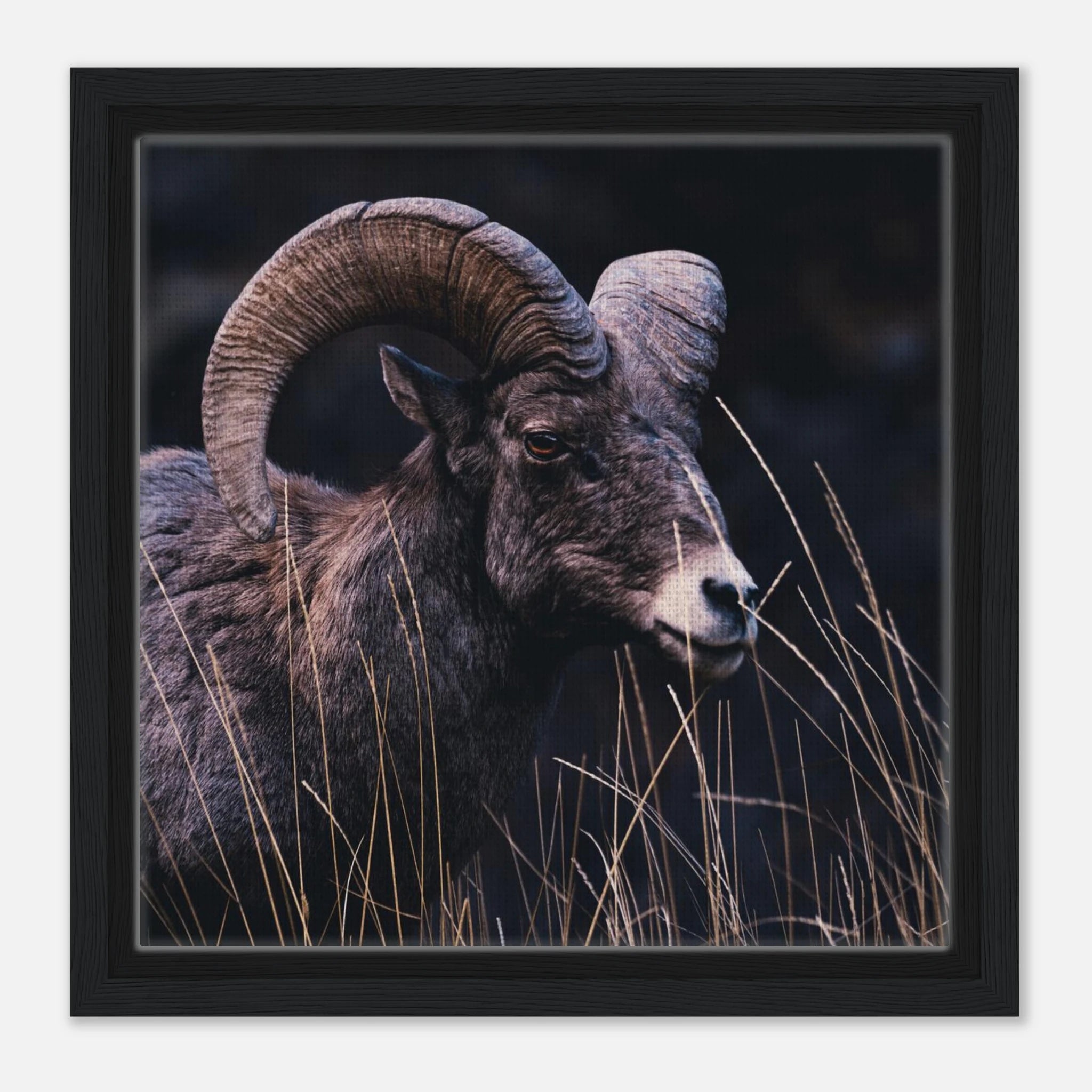 a6fa06f5-d643-4267-927a-4a944301e202