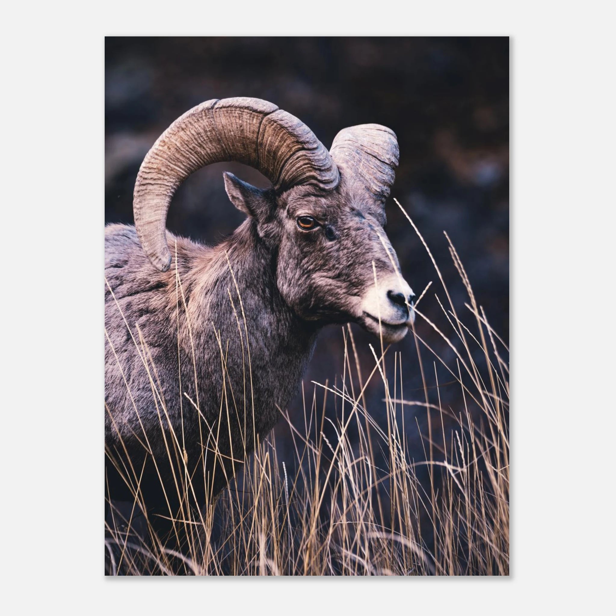 a700cc91-5727-4175-af8d-a25cd8791b2a