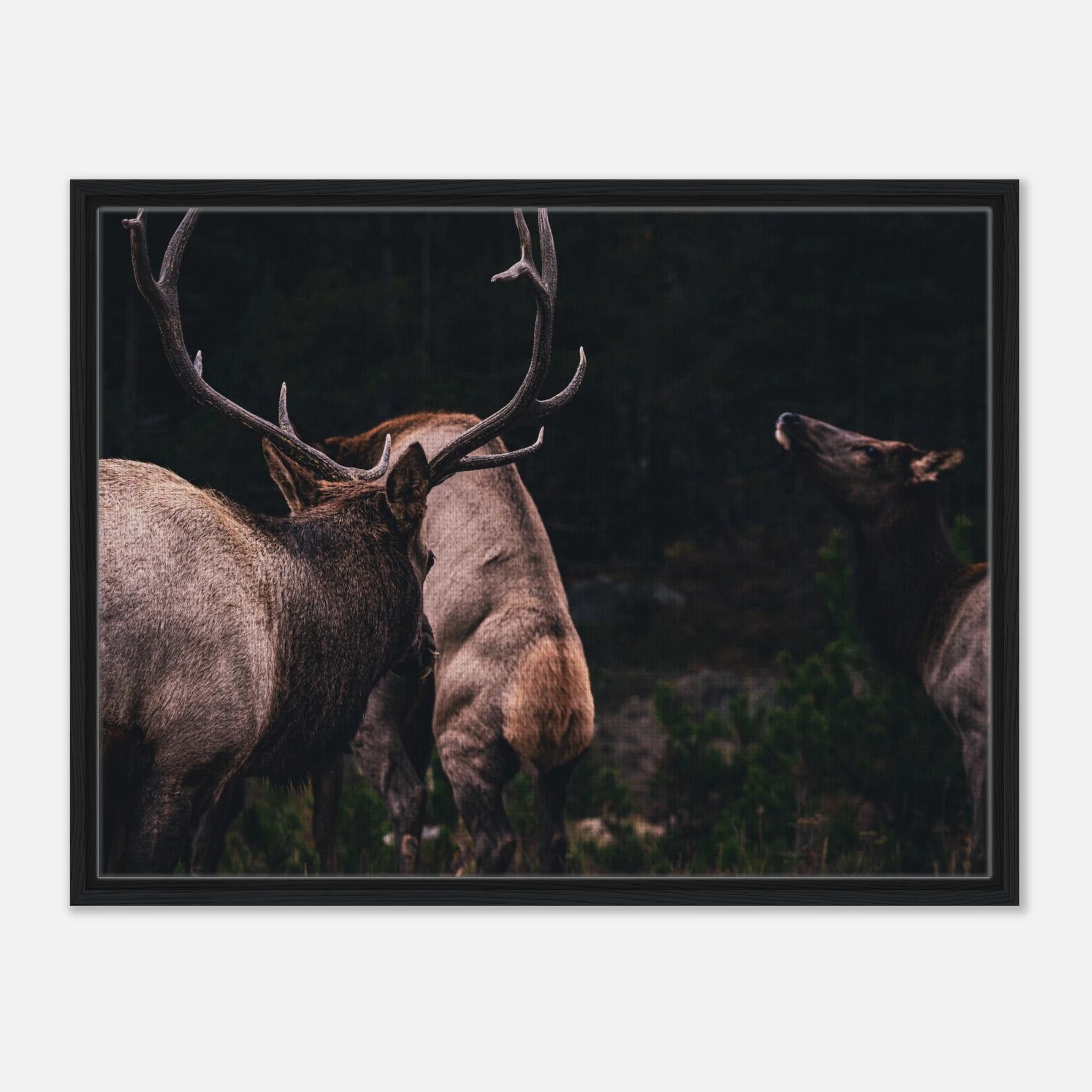 a76e8705-cc47-4560-b599-c959b303d8b1