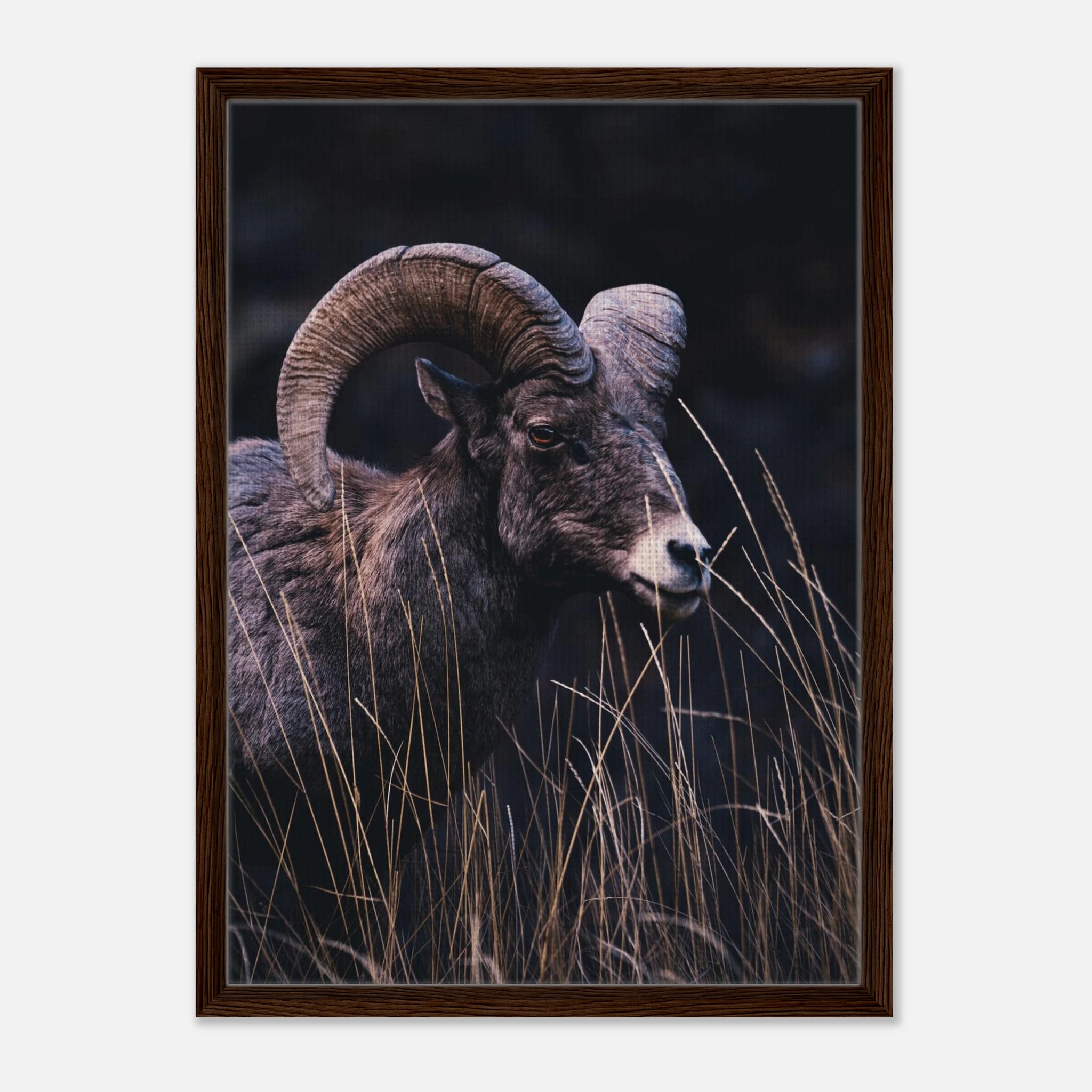 a81dc9e7-21f4-4cb0-8fbe-cf04f0fb2ffd