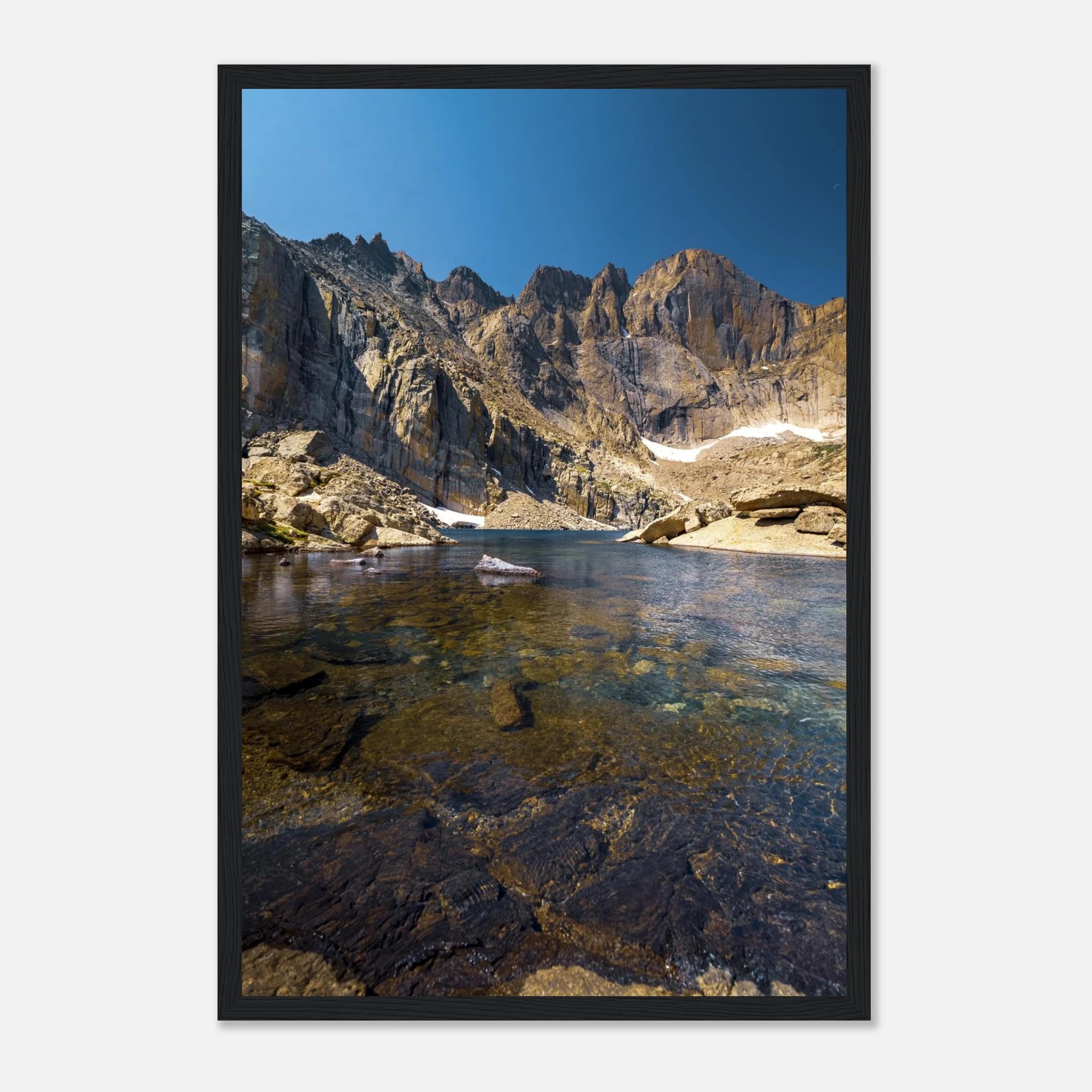 a8498341-a5e8-404c-9273-1ccf59173199