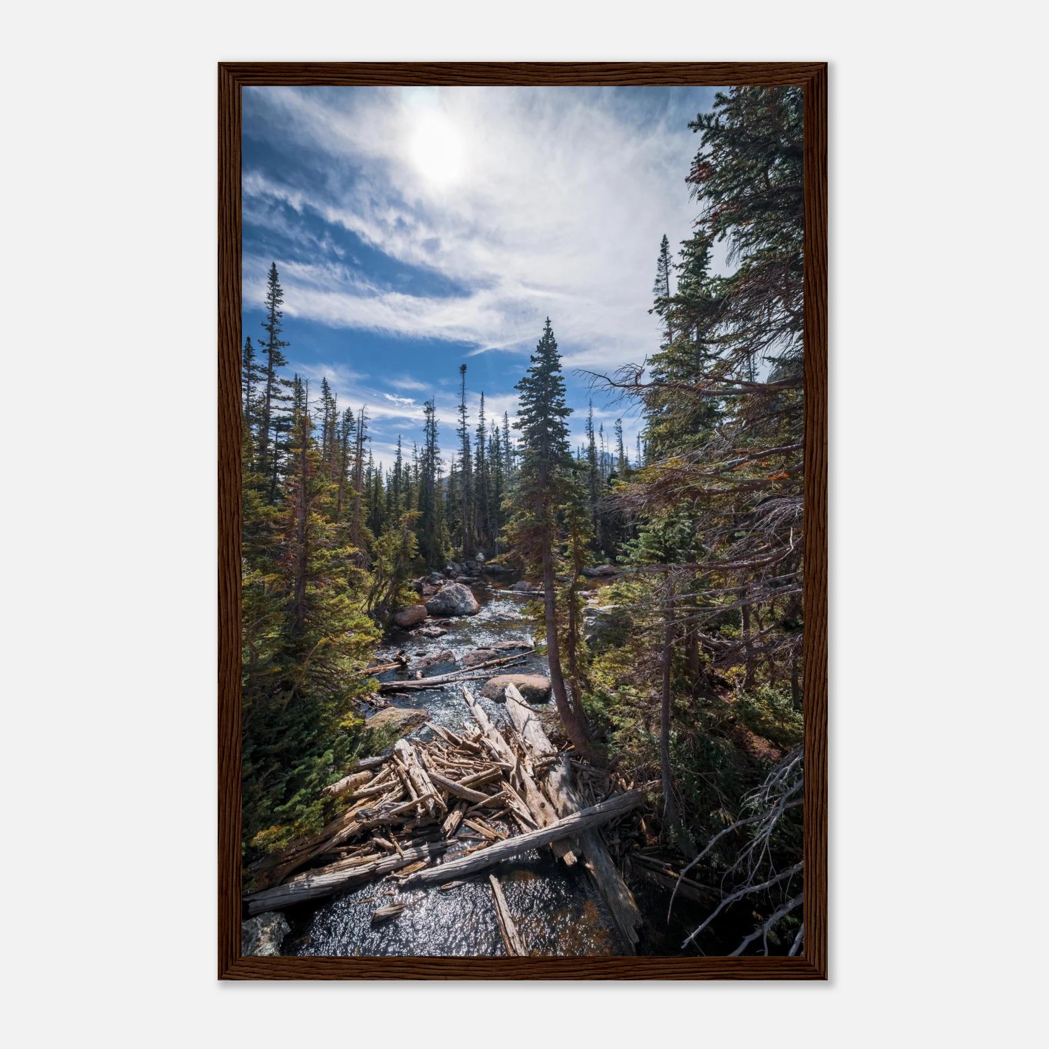 a9684f78-c0e4-4c54-b9d8-0f2d275a8167