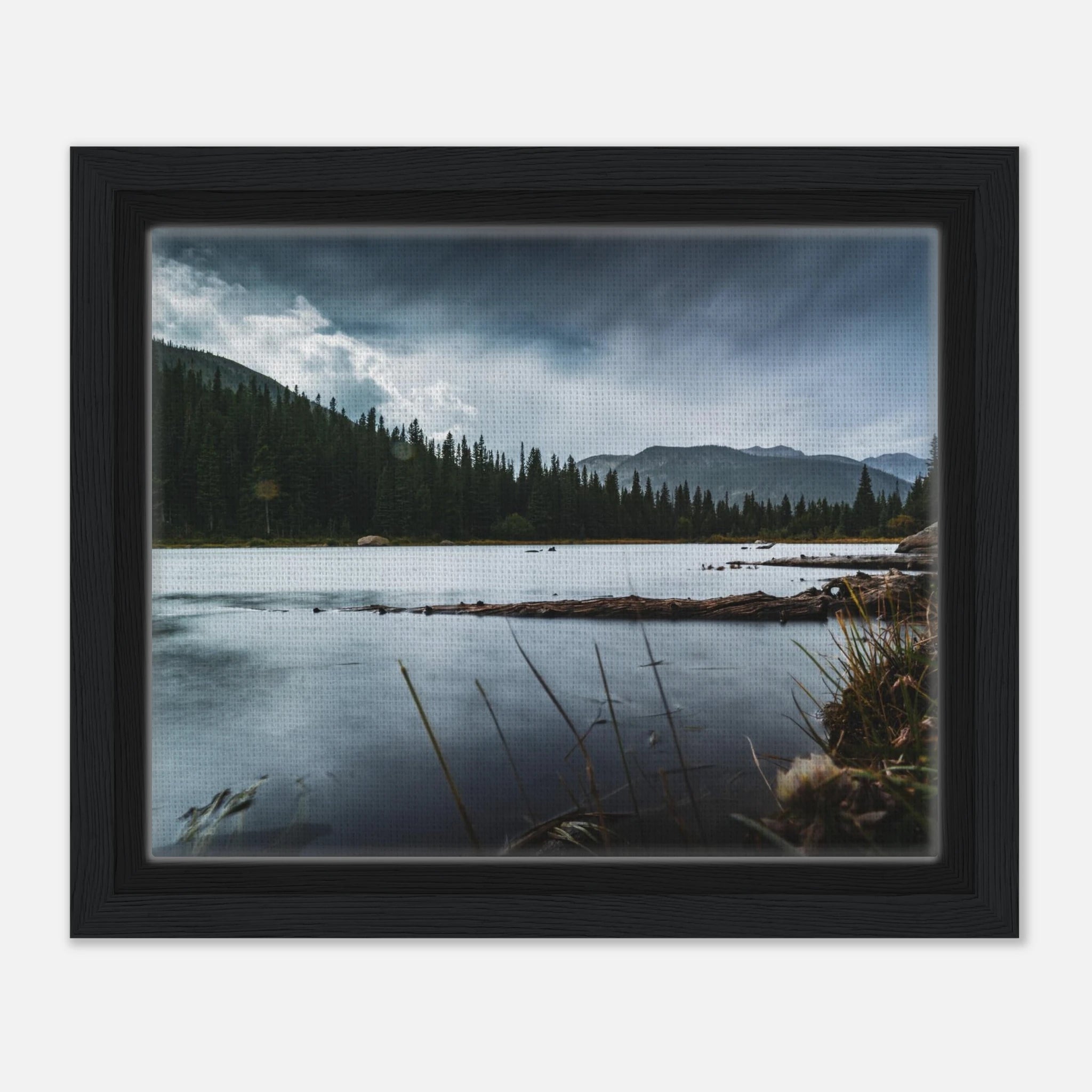 a9b75d38-c6bb-4ed5-83da-8762a7f7b247