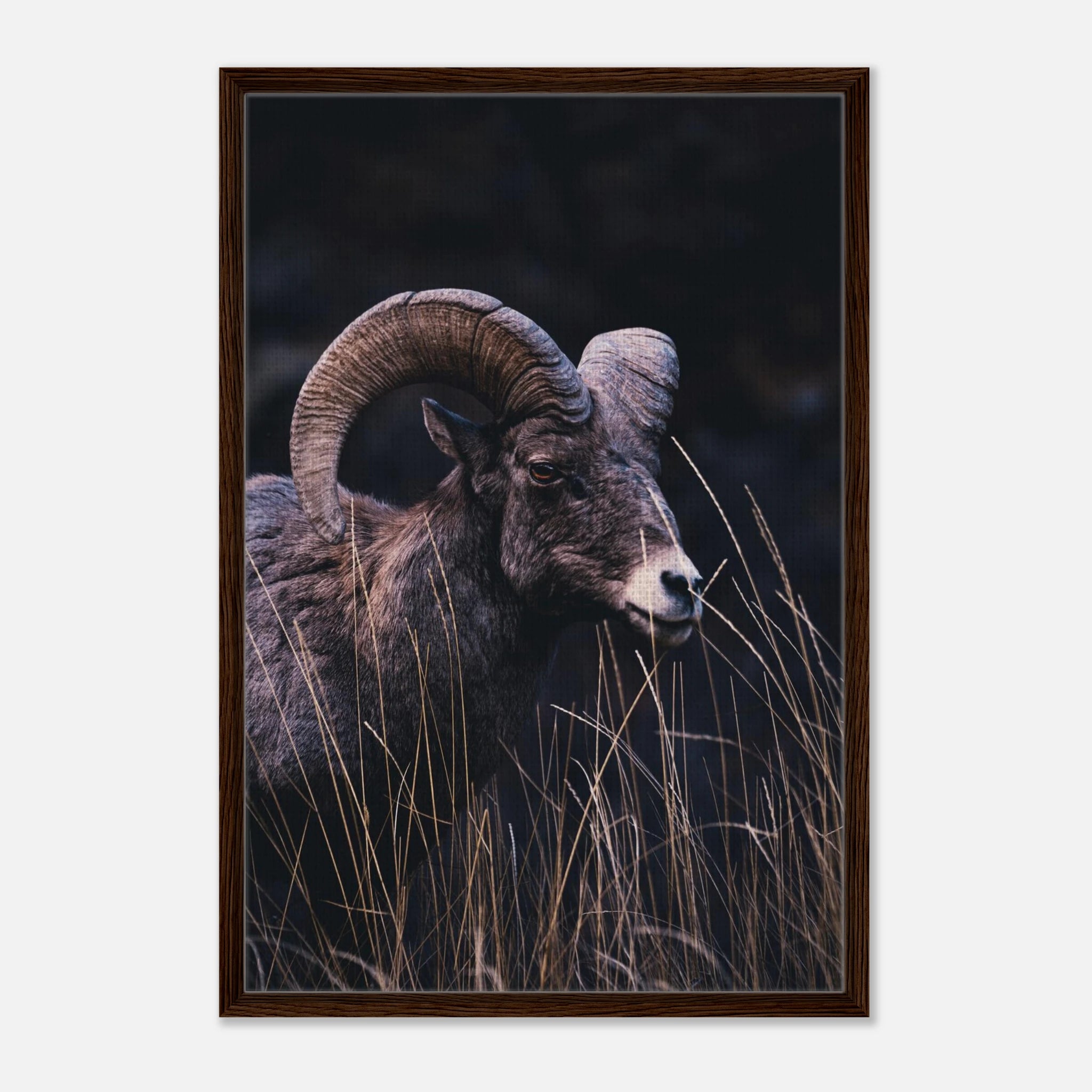 aab4d763-55f3-4c23-a6dd-d483ab656e88