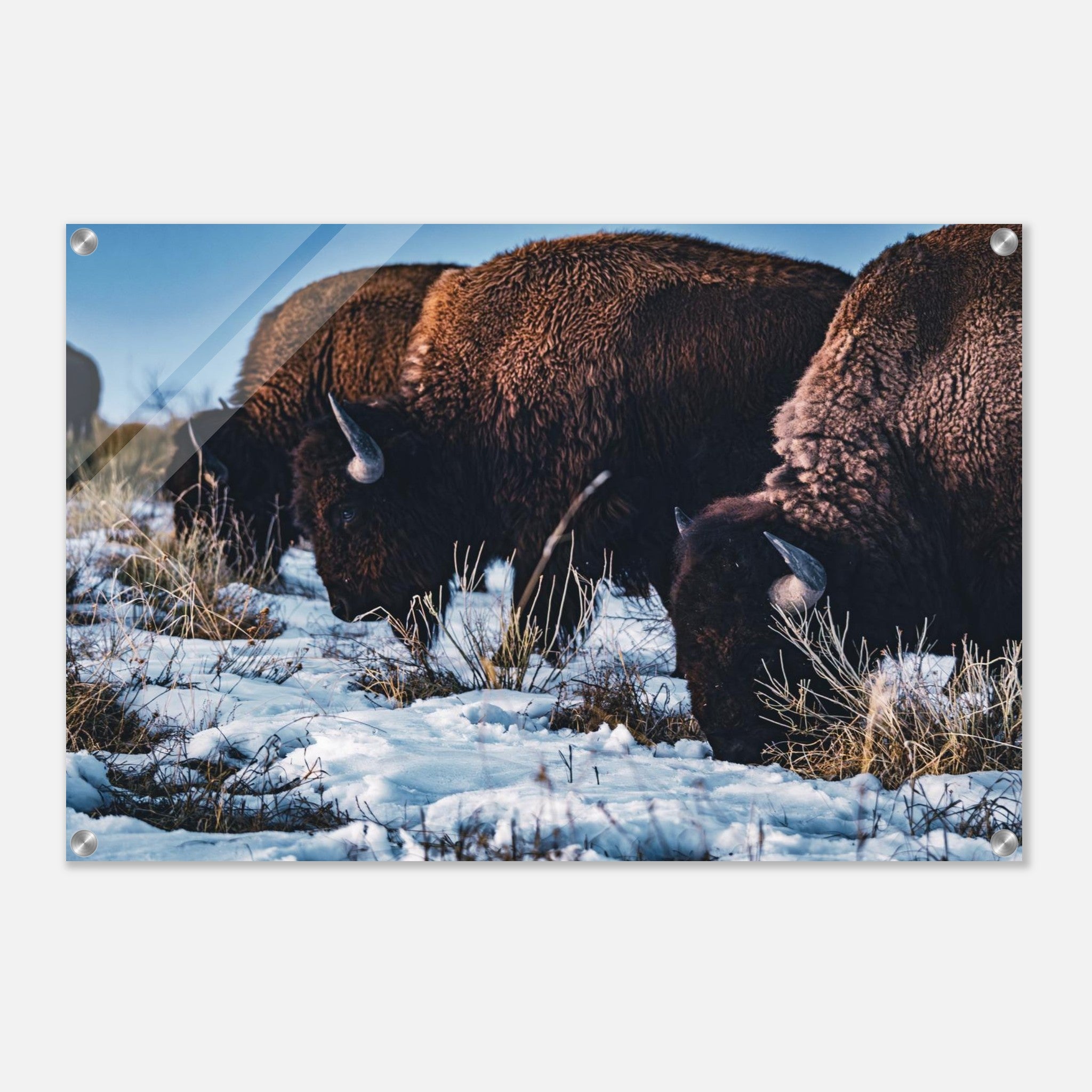 ab2d21de-9d61-461d-99cc-dbbf8902d989