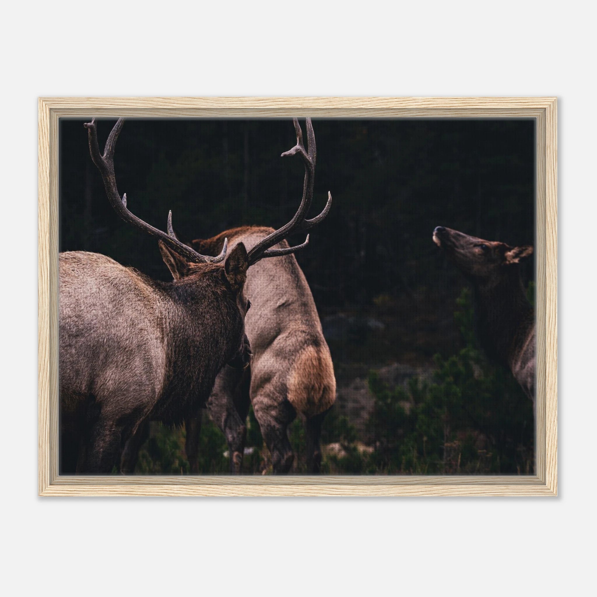 ab5cb639-6793-41bb-9e2b-85dcdfca4808