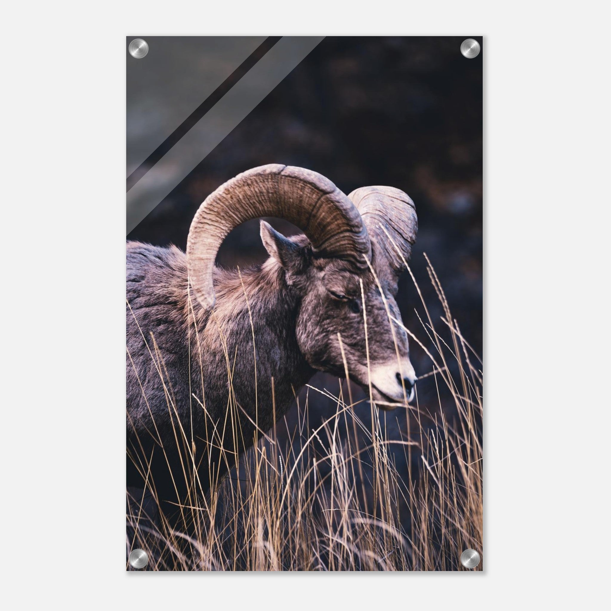 ac63af8c-e393-4906-bc13-0a53d8ce2513