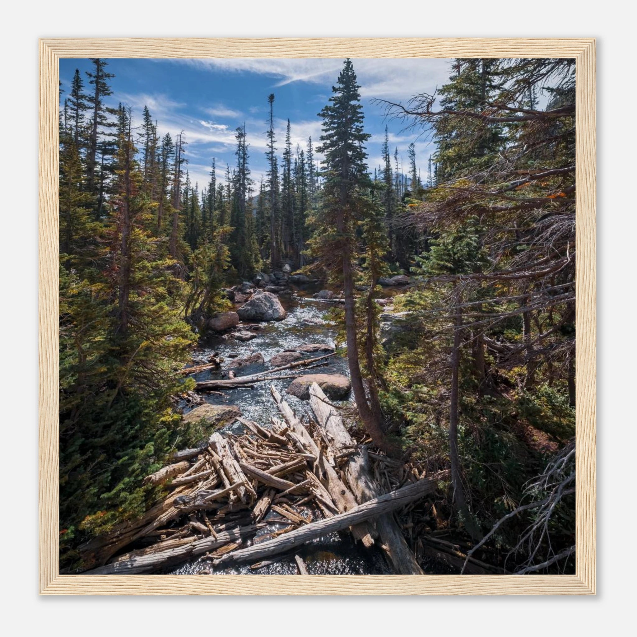 ac6823b1-016b-459e-b4d9-07d443e9b2d2