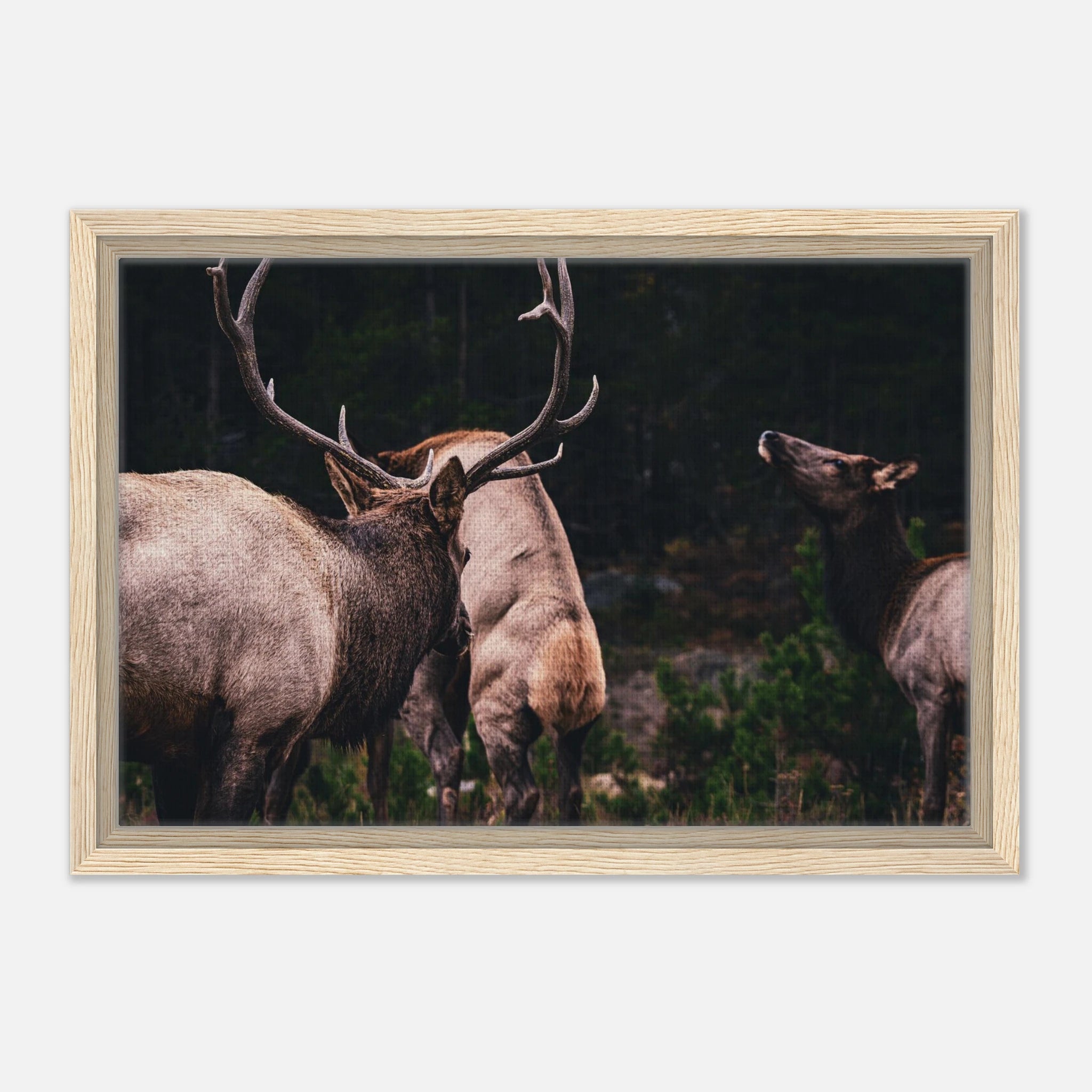 ac703720-290b-49fe-b111-5a0163133362