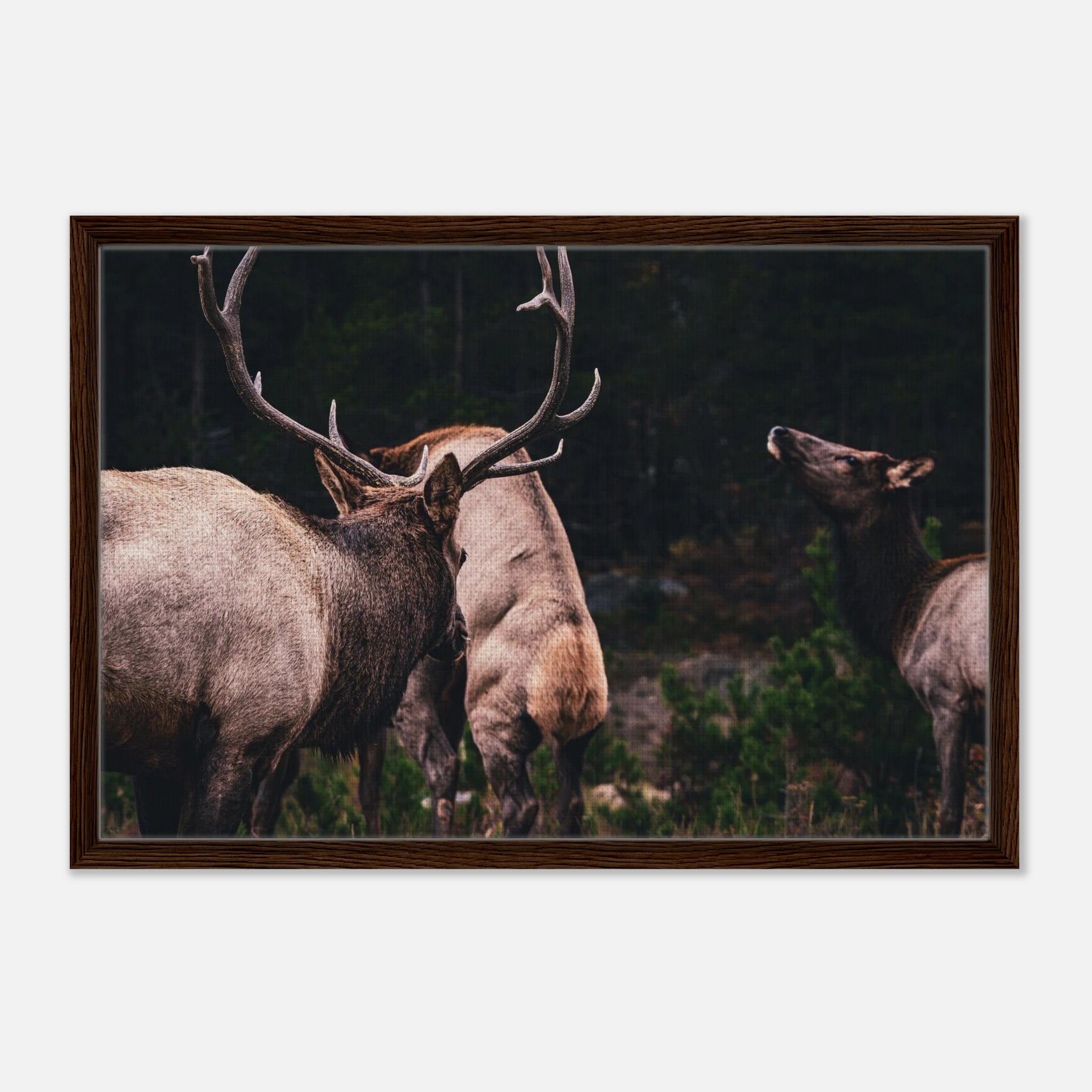 ac7b3671-3fa0-42dc-a516-02d3444c2b09