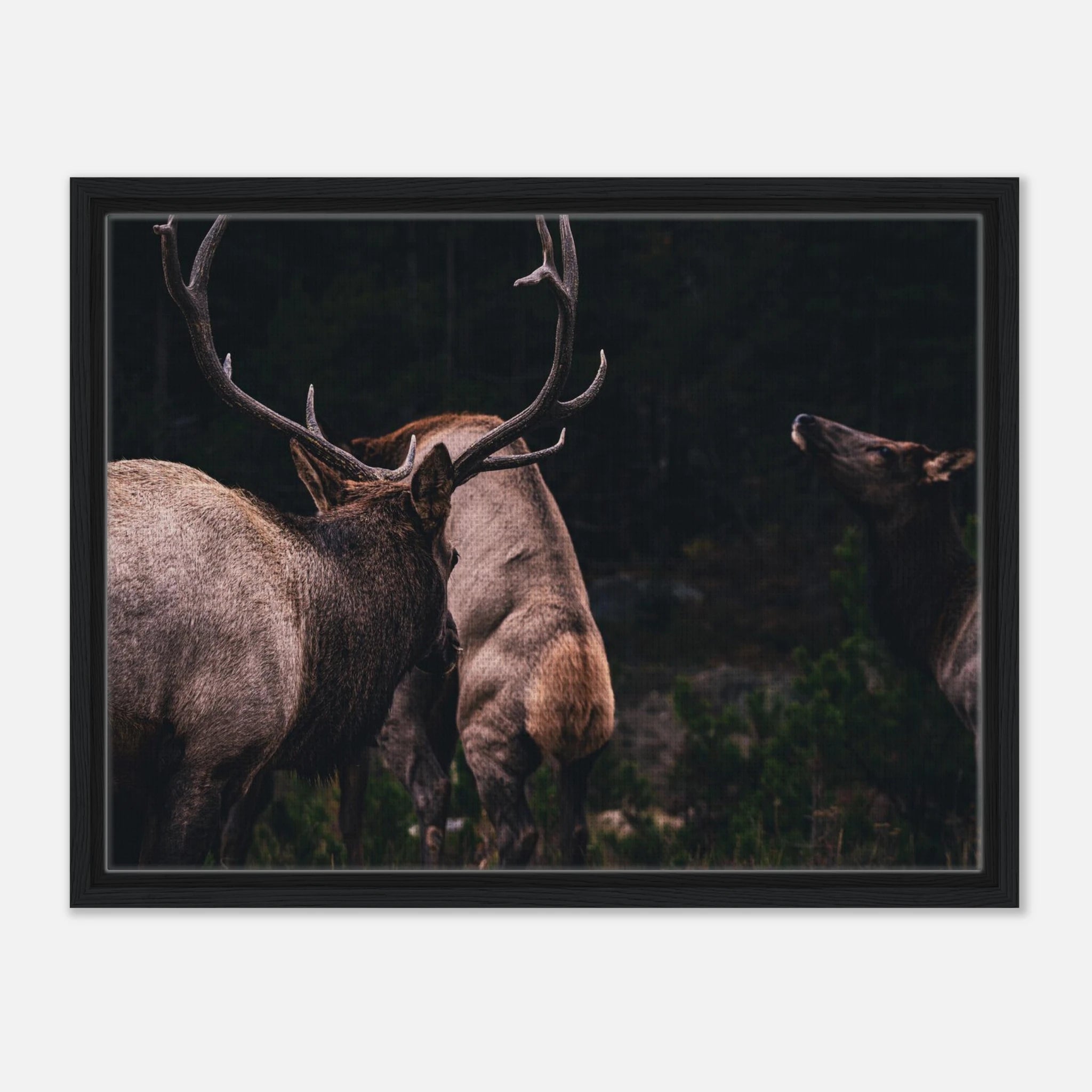 ac9c326e-b3e2-410a-bb32-91fb8e83f06d