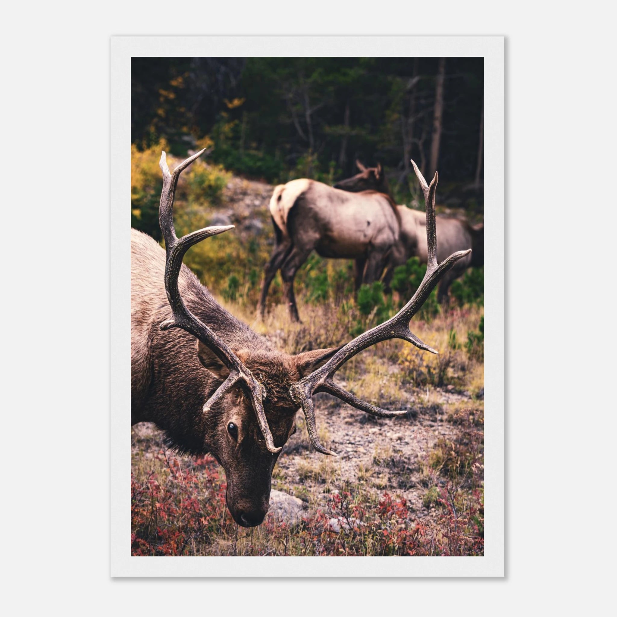 ae07b53f-c177-4d3d-a27c-aecbc6c89fa8