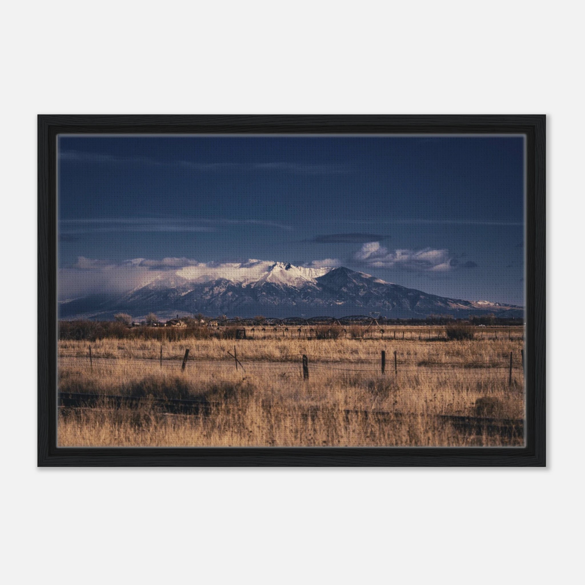 ae1c8c32-68a8-4275-989d-cee08e942a55