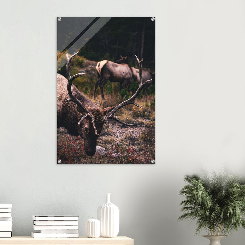 ae451509-87c8-44b6-a067-b74a0197f3d6