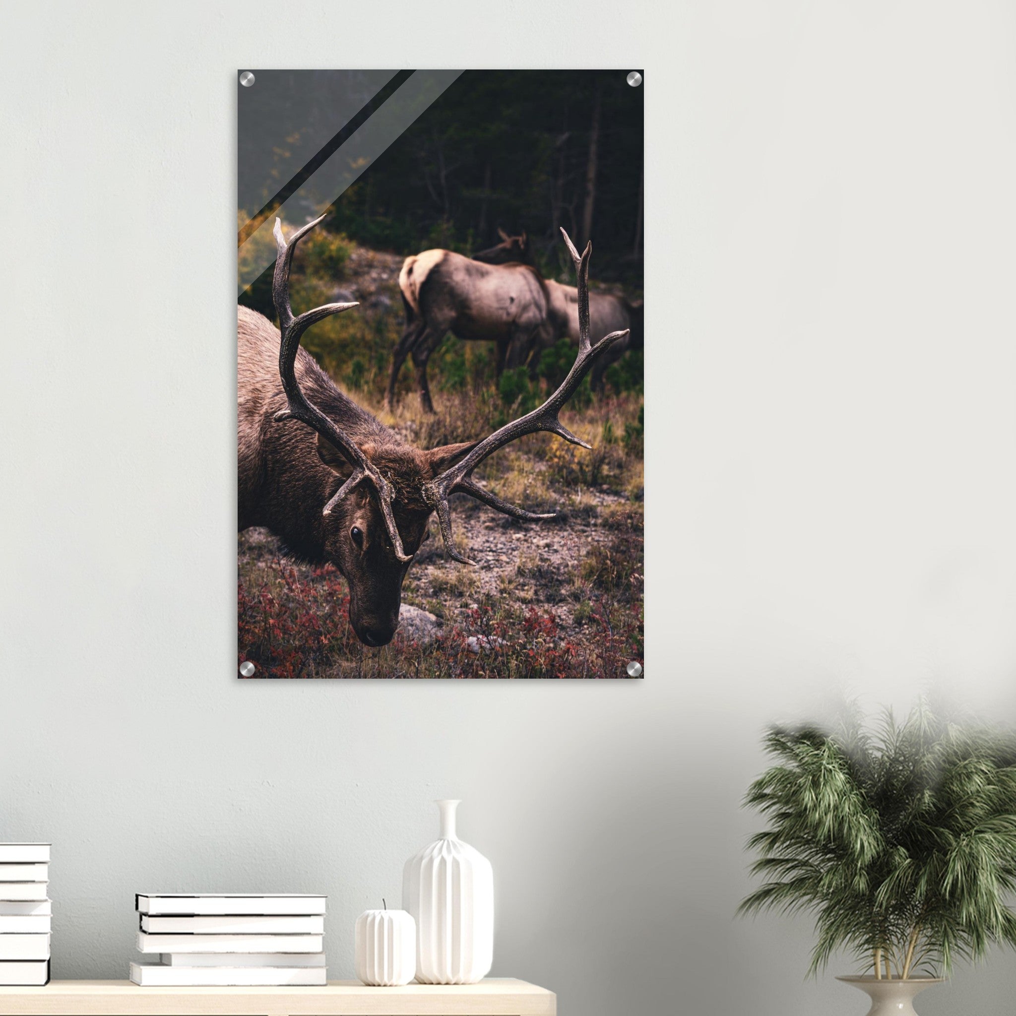 ae451509-87c8-44b6-a067-b74a0197f3d6