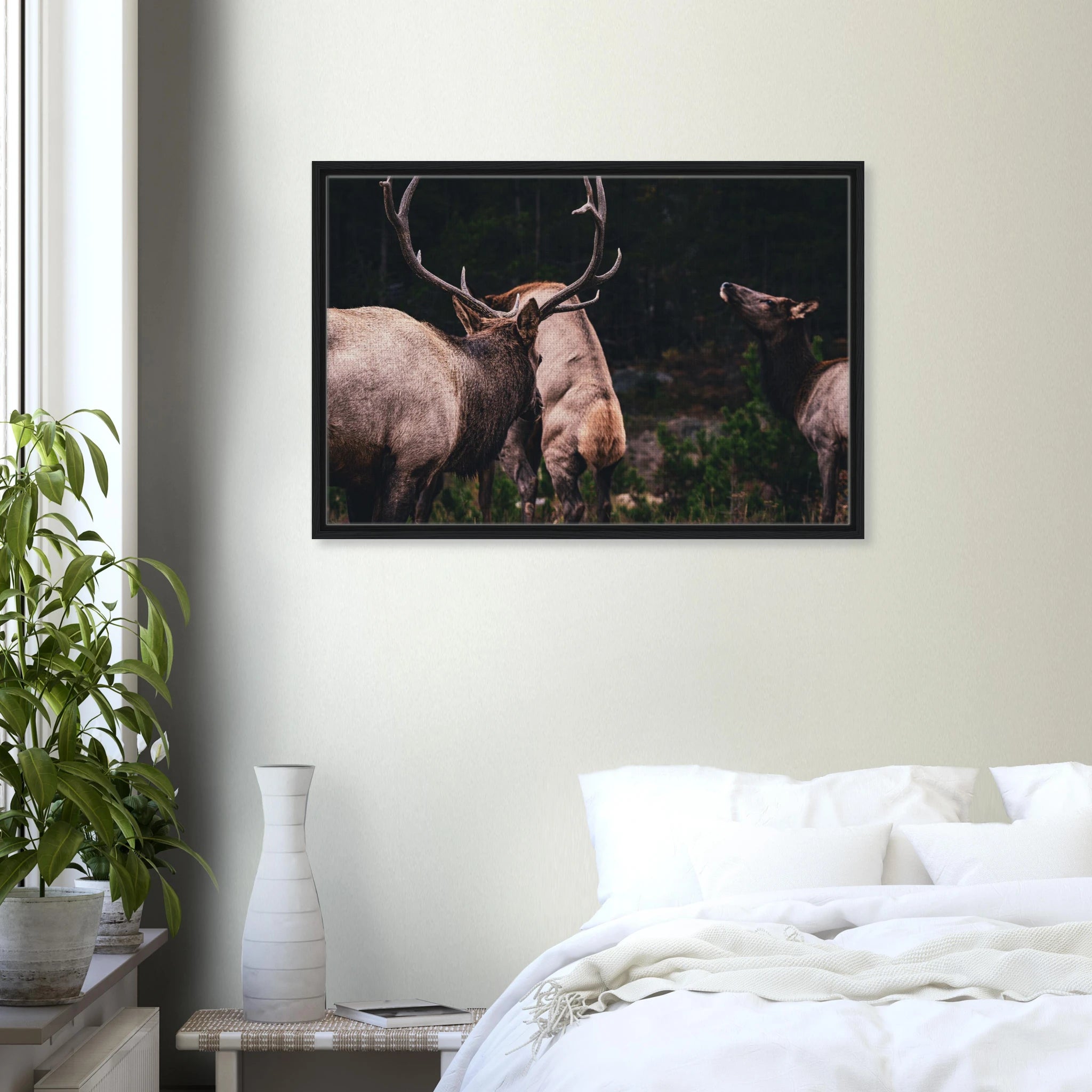 afb0abf9-3c0c-40f2-a80e-a580e8d5cc01