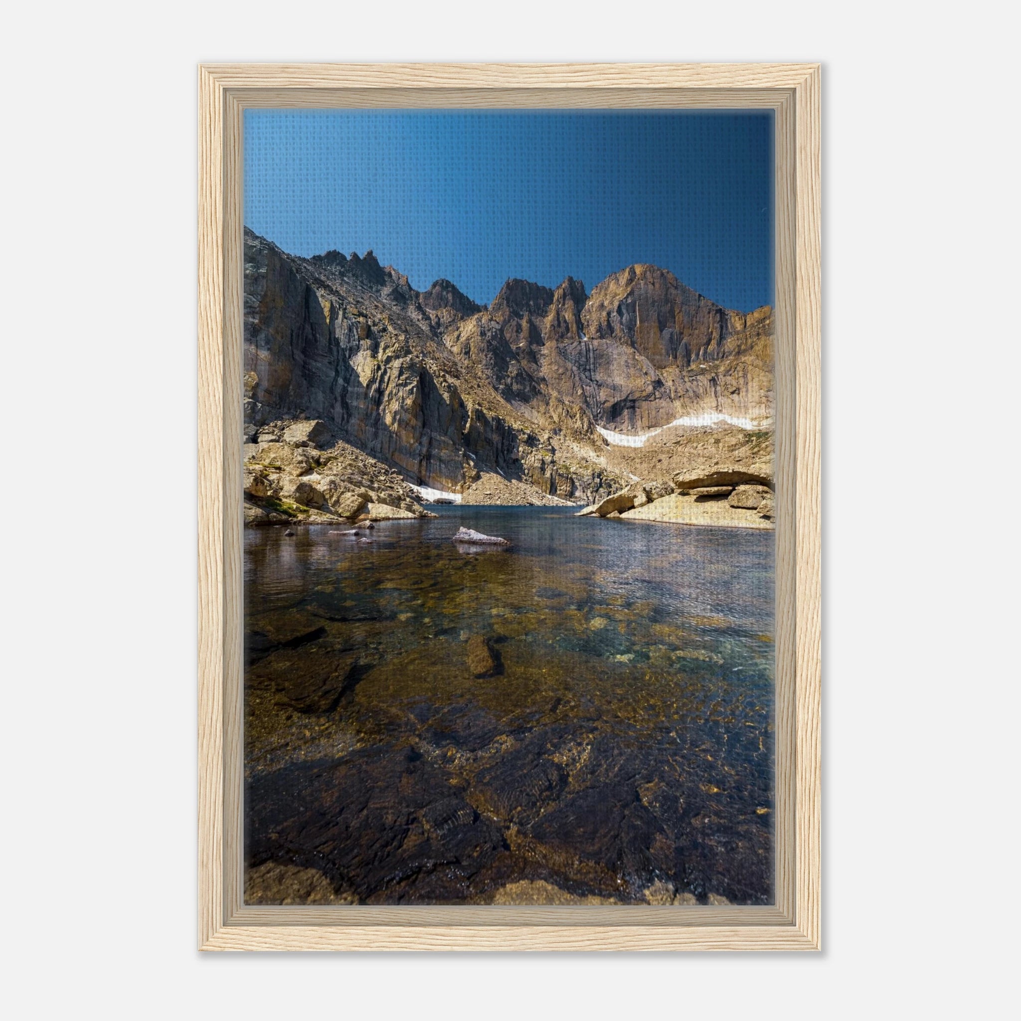 b2095a74-1da9-487c-aa96-b4b2cac66342