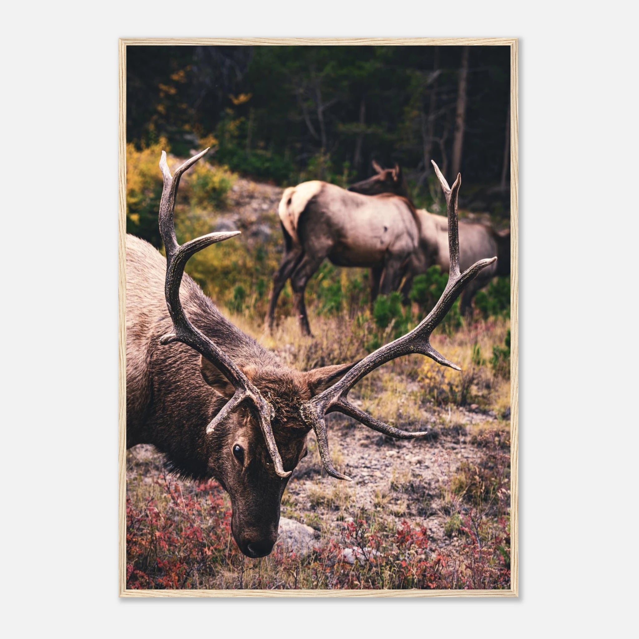 b338cfd0-d0a6-4fd1-a468-1d001a3b88ab