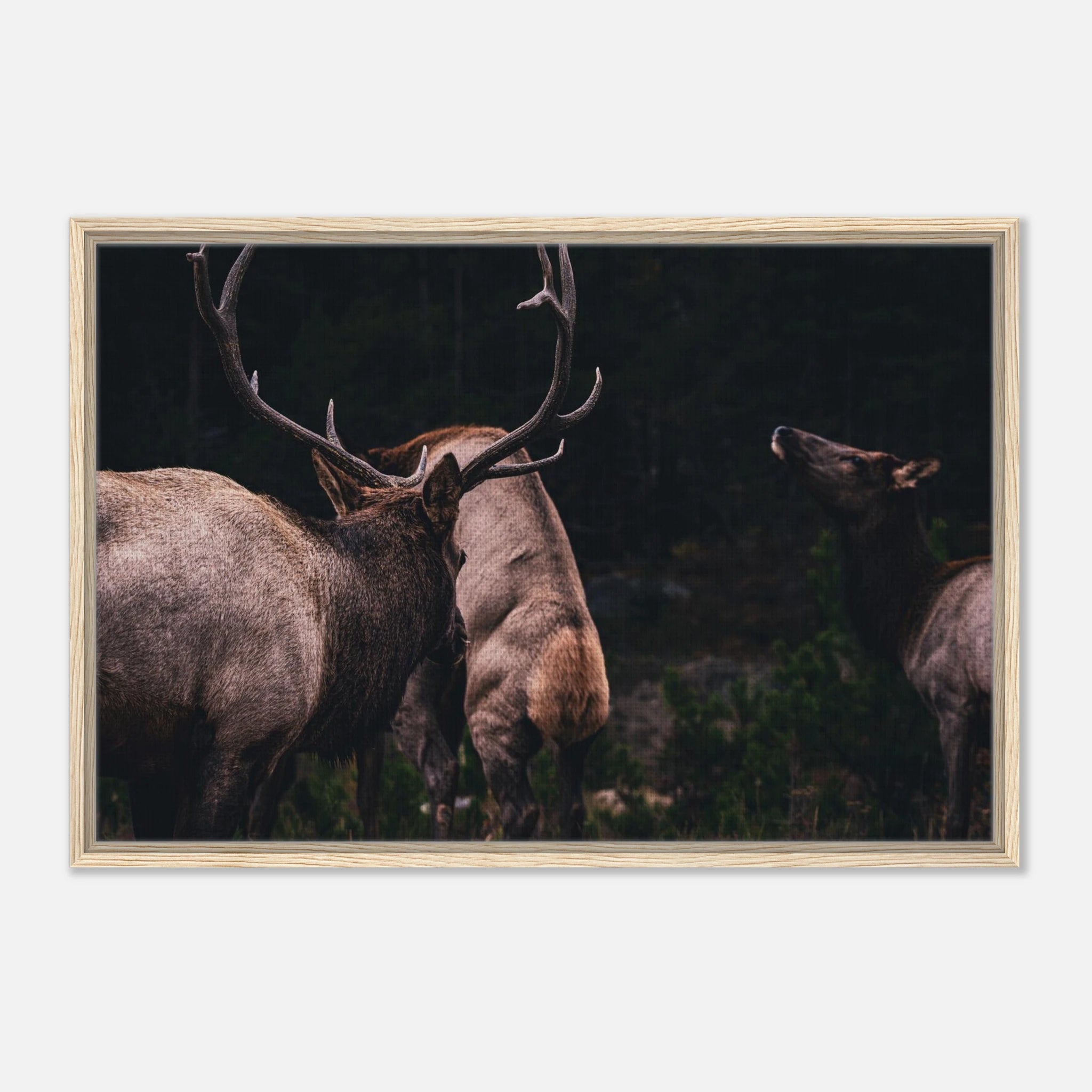 b5a08b68-d793-40c4-bb86-72045a071b6e