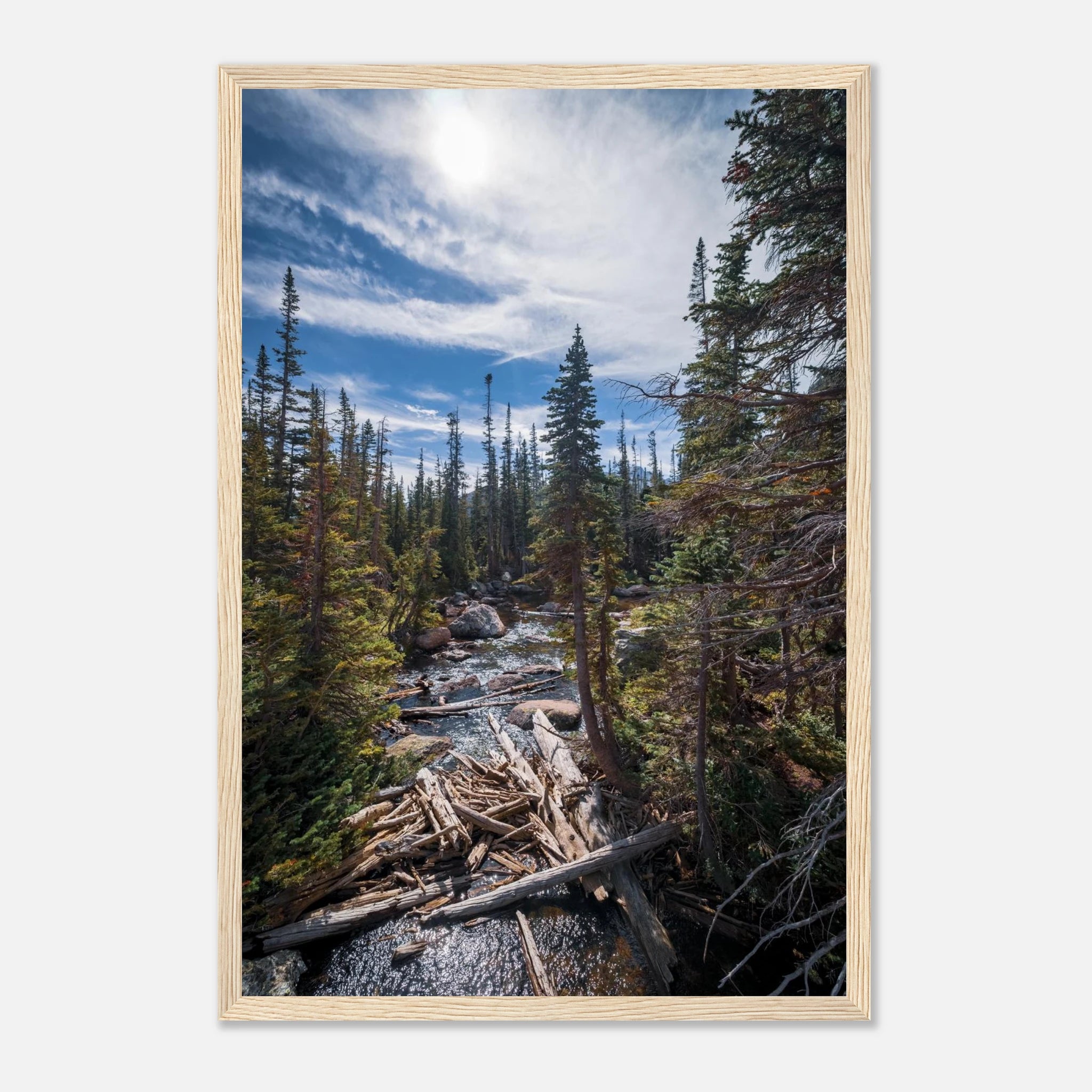 b68a654c-798d-4681-b495-bc538081e25e