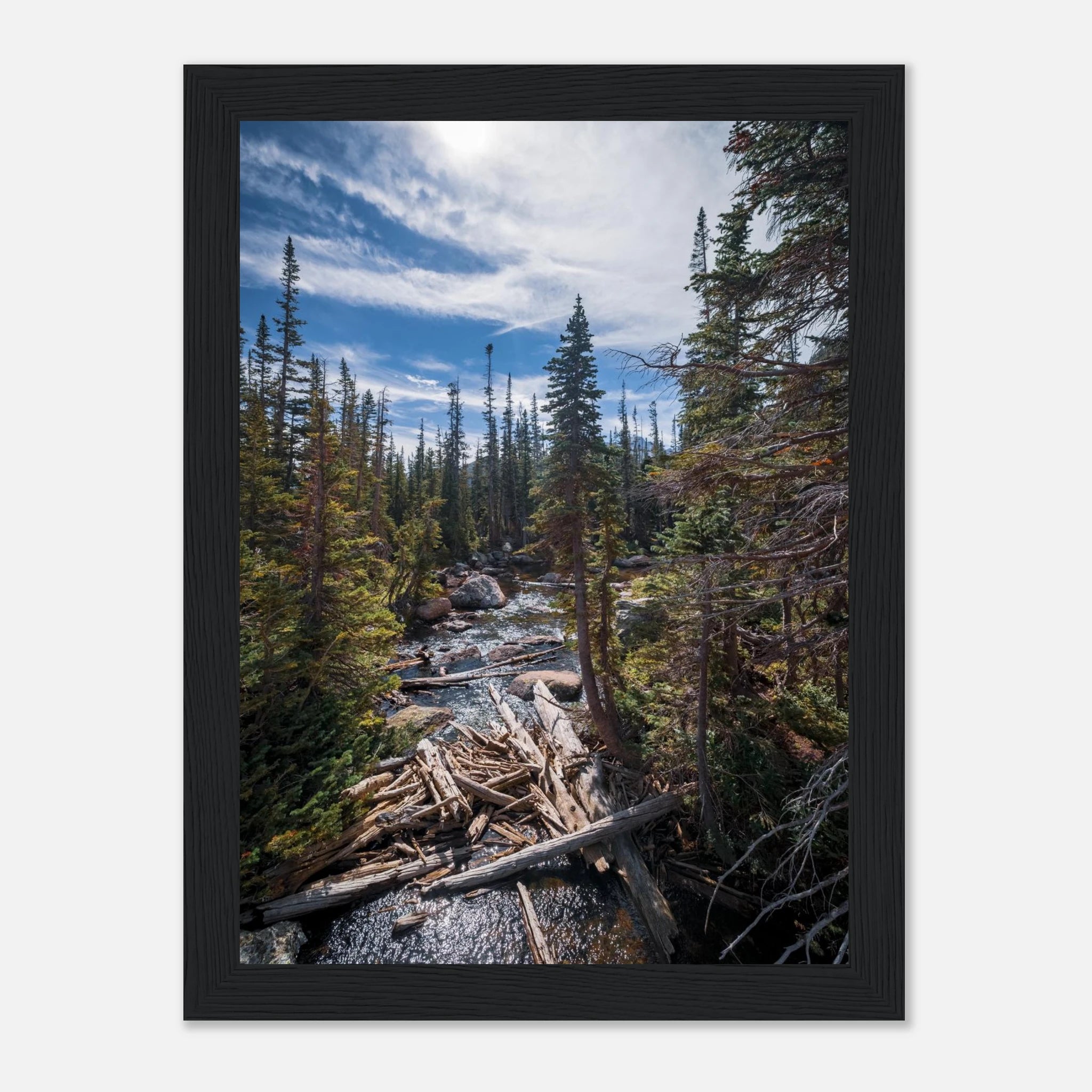 b7851043-0e02-480d-ba21-63a3ae4489c5