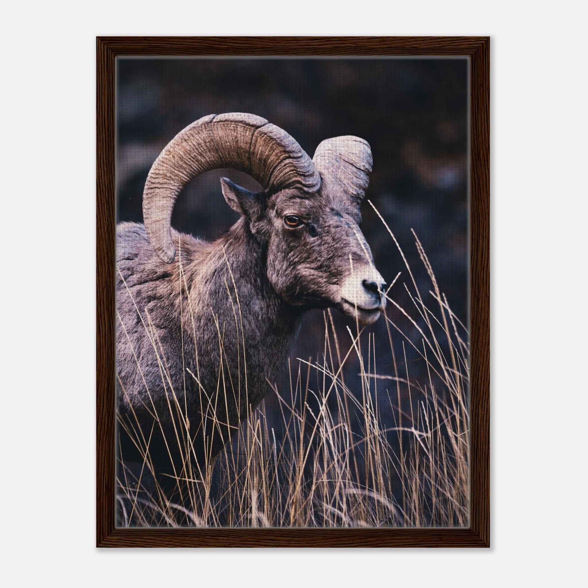 b898891e-d056-4cc4-9a4a-59c7d16e2e17