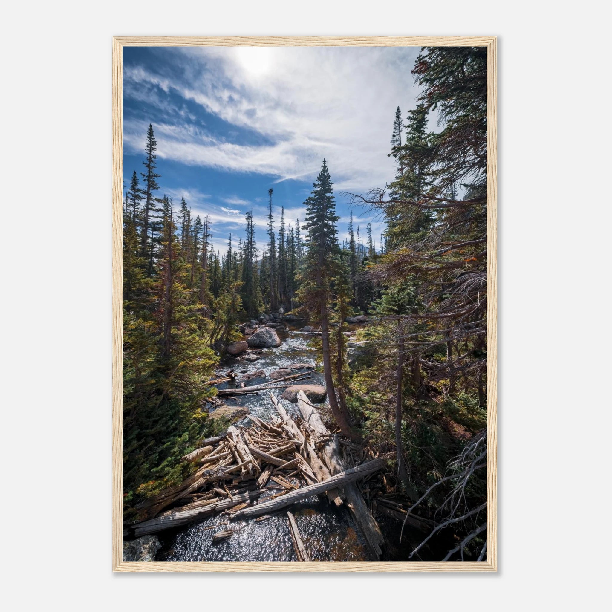 b9b95f8a-0a18-46aa-a4a6-6a1c0a33169b