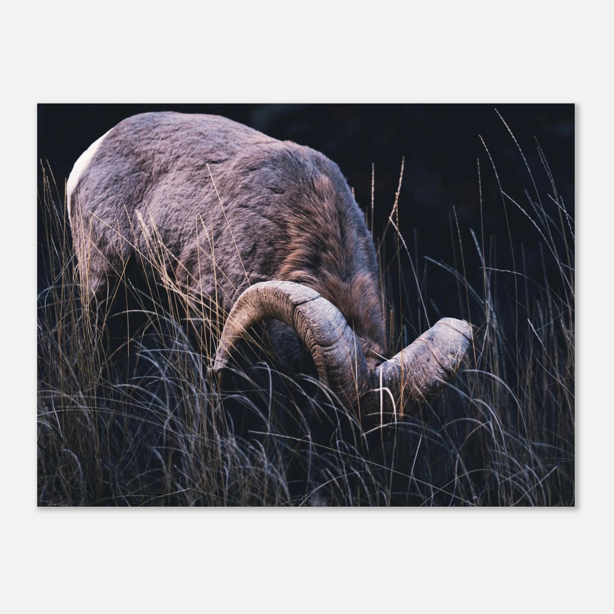 baceedf9-e44a-47ff-bc6e-6eb300f2bd27