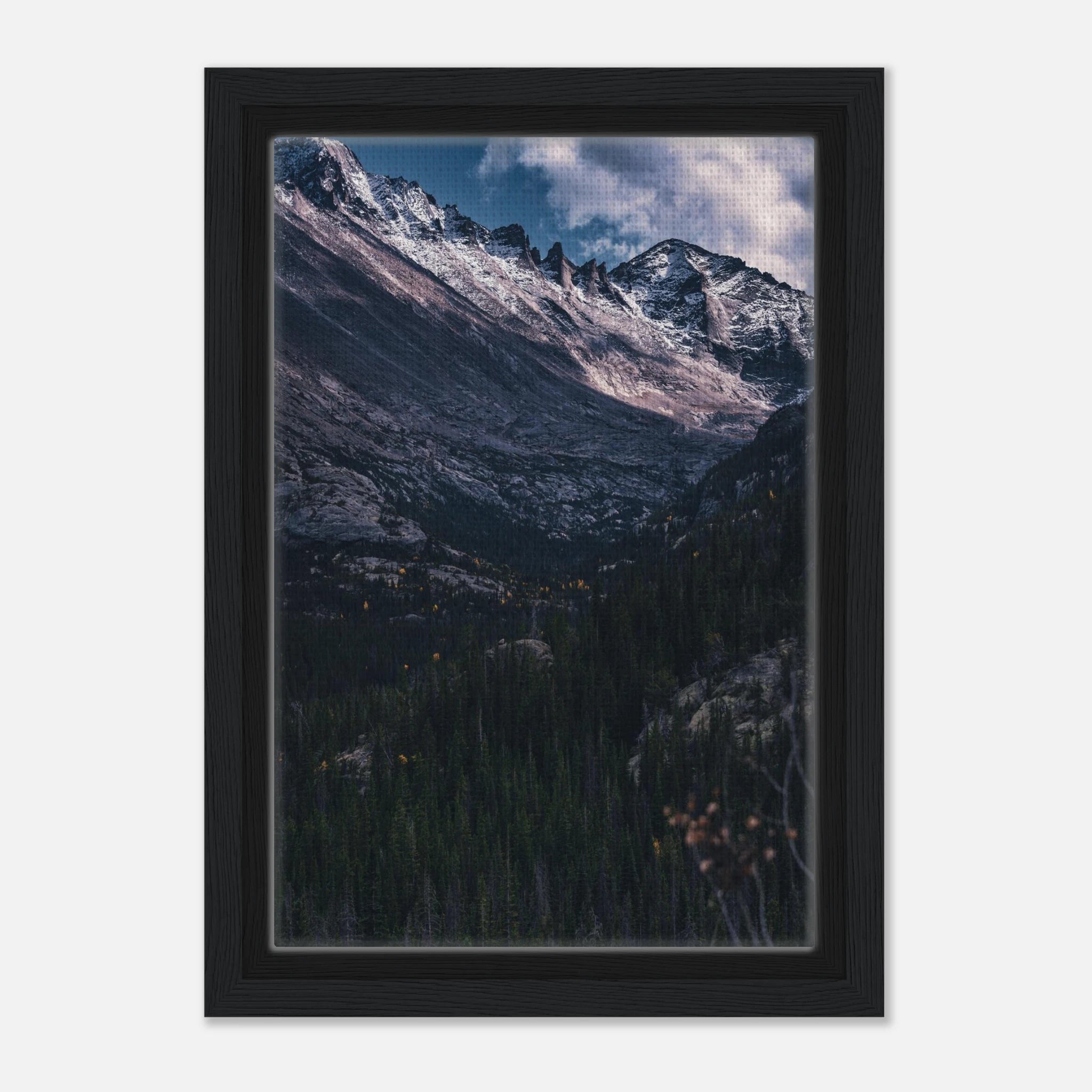 bb39fc57-774a-45a1-983a-2922183ee2e2