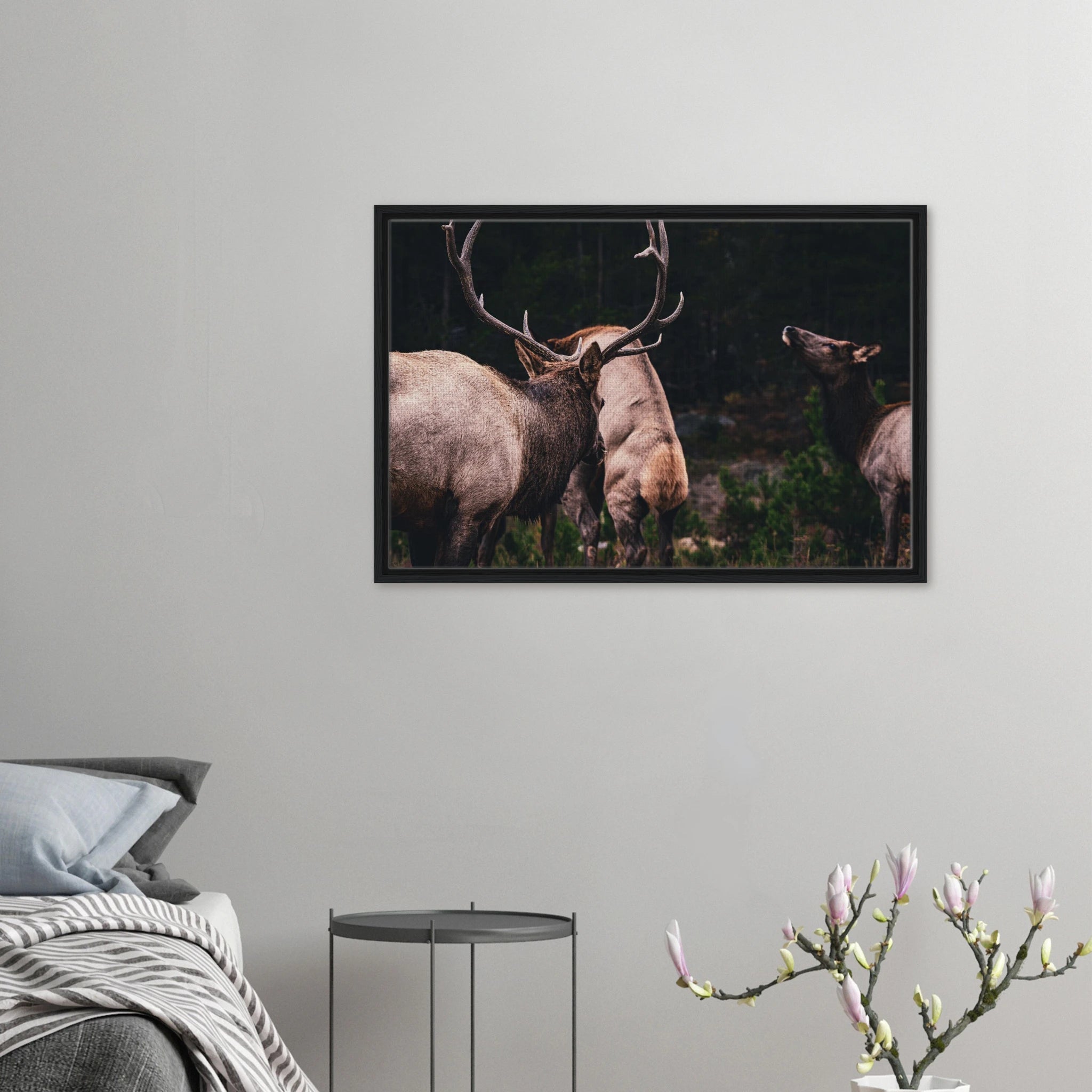 bbc54776-064c-4ff5-b17c-80a51228a335