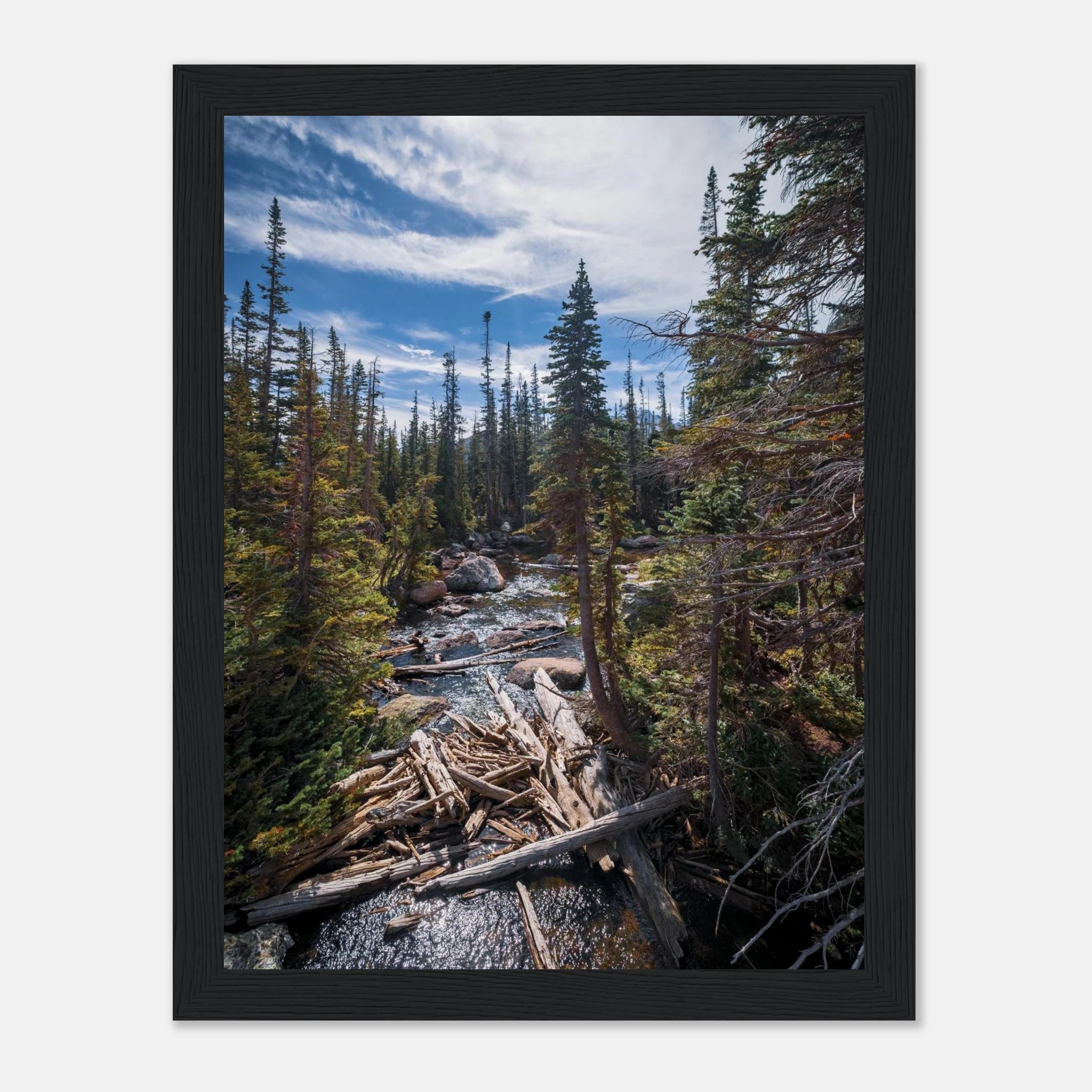 bc0be6ac-4e28-4ab0-8289-ca5a20f994a8