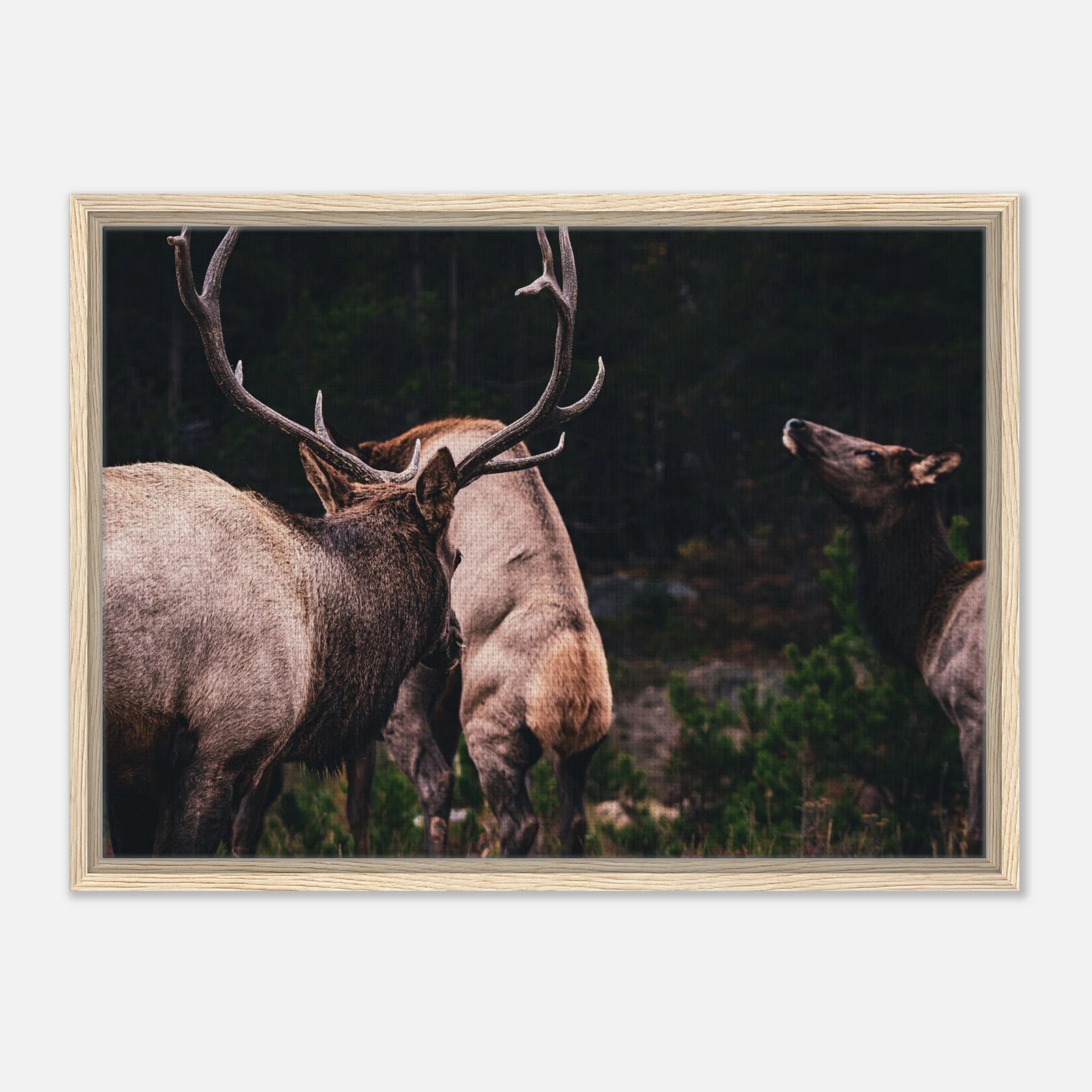 bc4316e4-e691-4f91-8d0a-069e810f7bb8