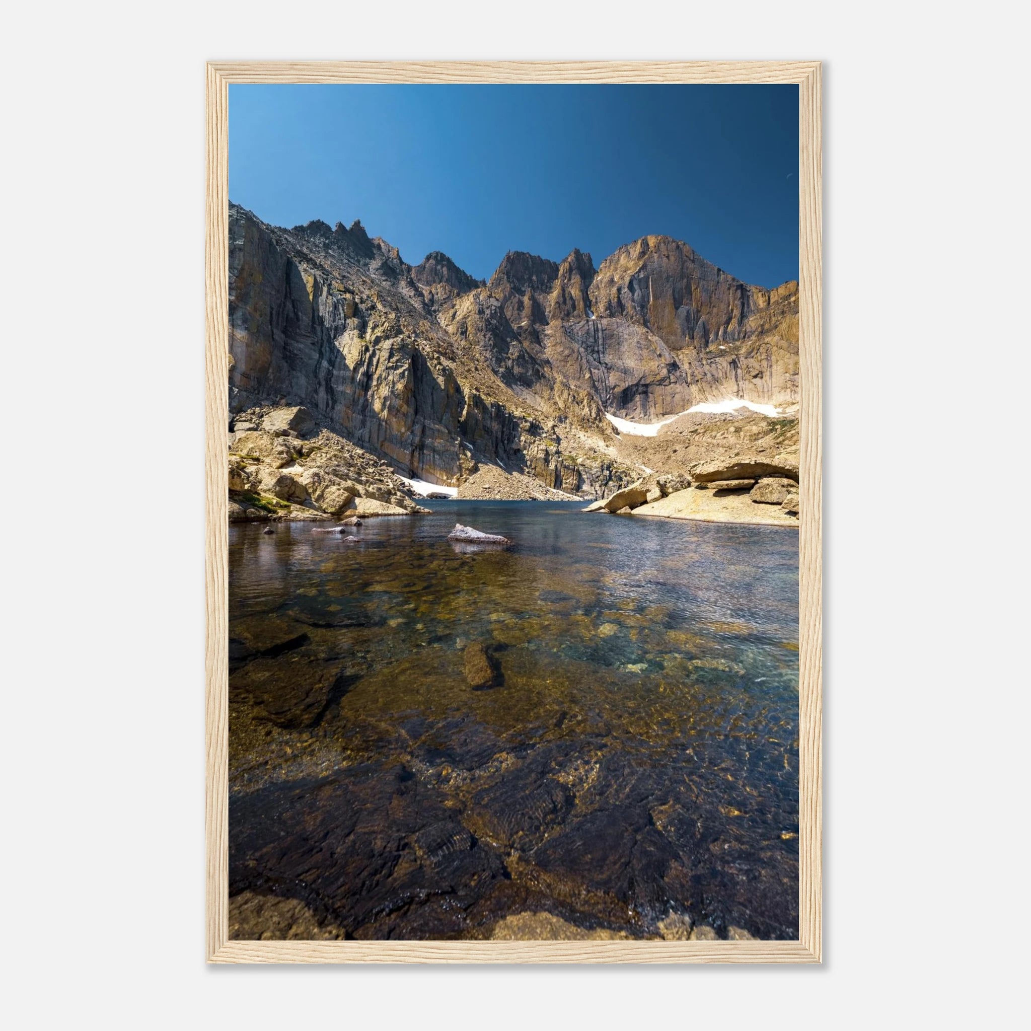 bc5a1b8b-737d-486b-ac36-d552b00c59b6