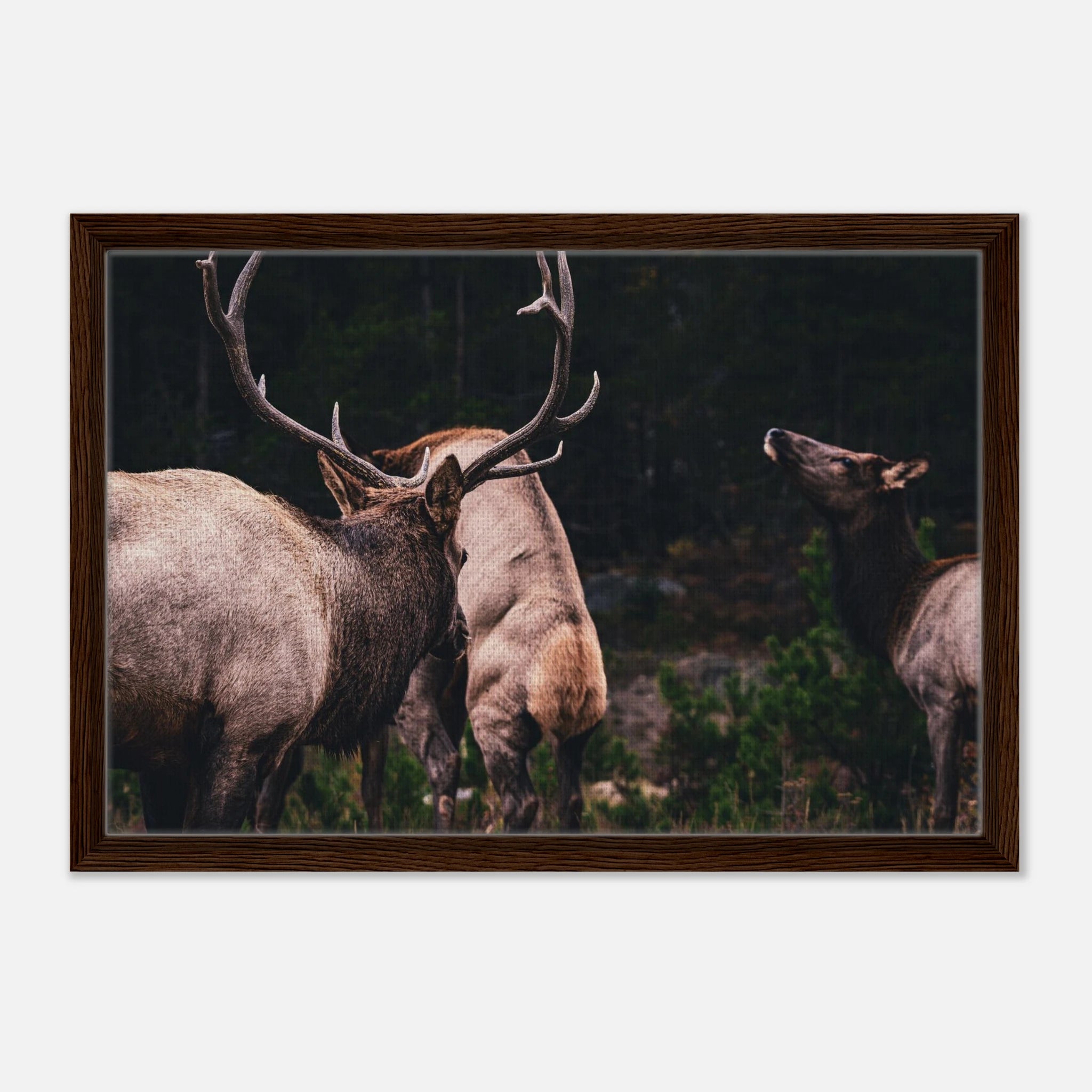 bc9db564-5f49-4273-8178-0237bce14e67