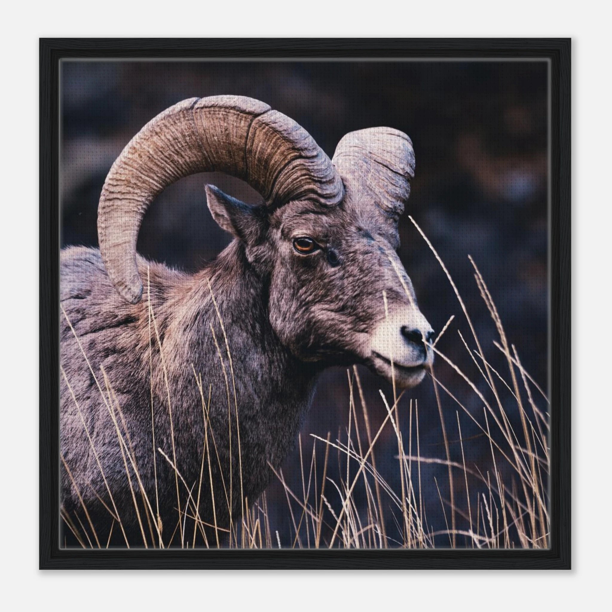 bcdde4a4-d7f8-48f7-88b1-9137aae9b5ff