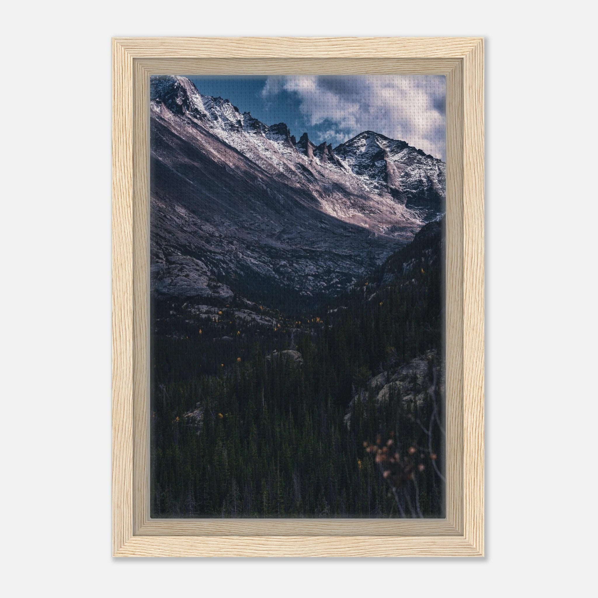 bdc5ca9d-e355-4f57-baf5-6b57cabf1d72